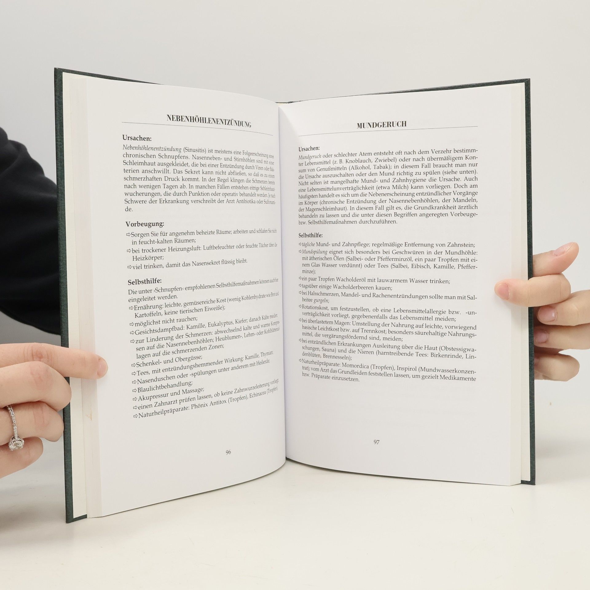 Kolektiv autorů Das grosse Handbuch der Hausmittel