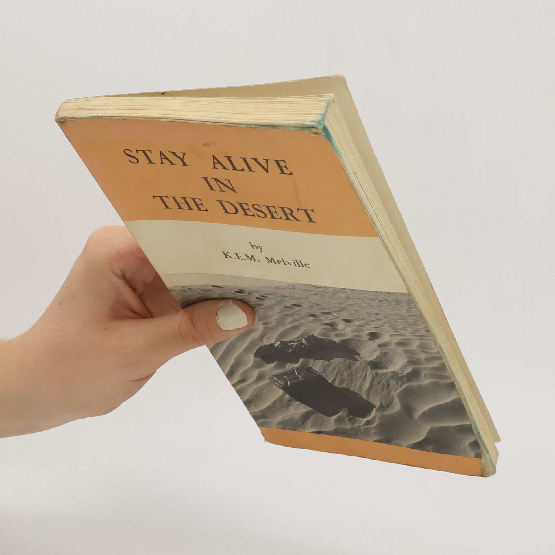 K.E.M. Melville Stay Alive in the Desert