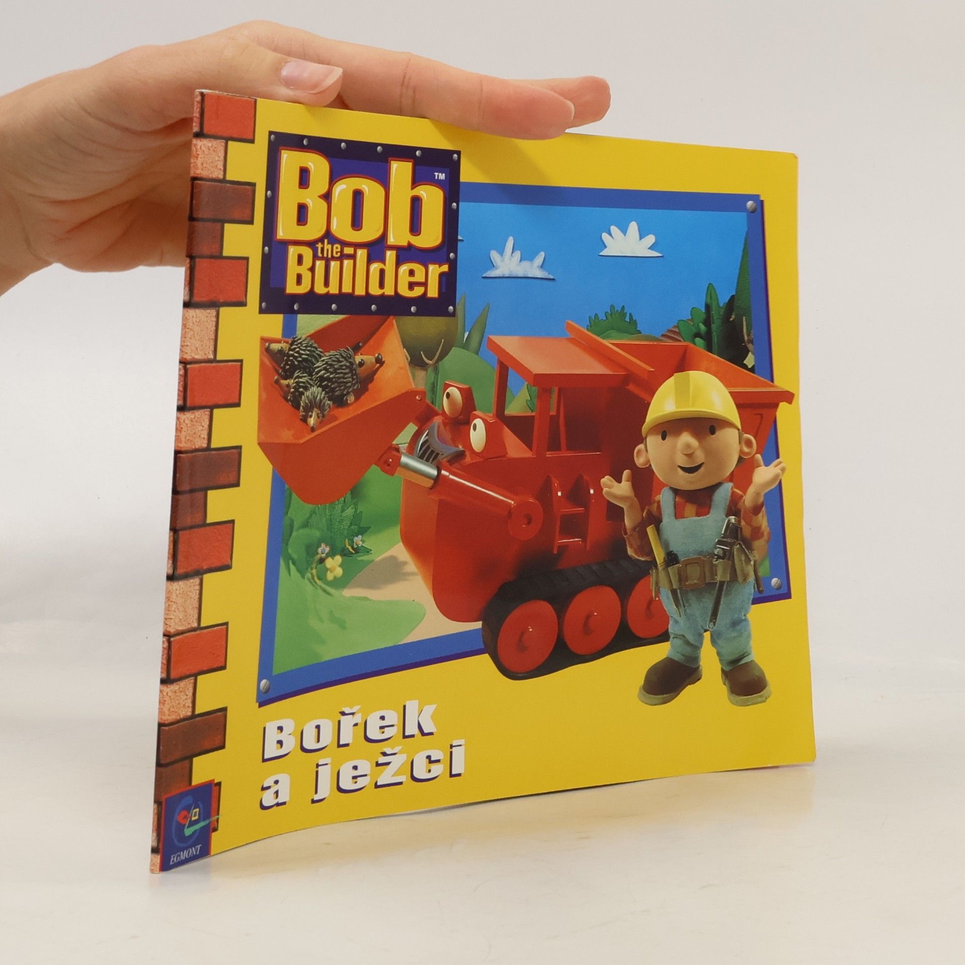 Kolektiv autorů Bořek a ježci
