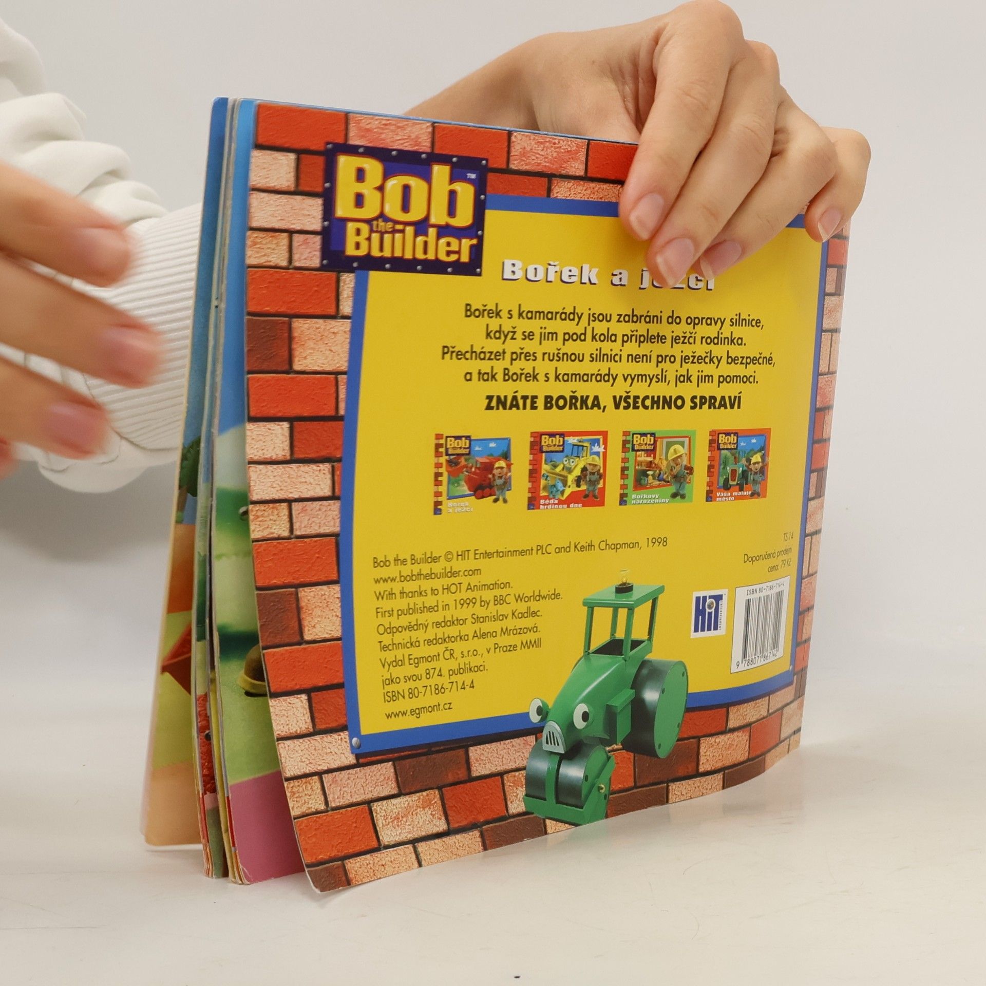 Kolektiv autorů Bořek a ježci
