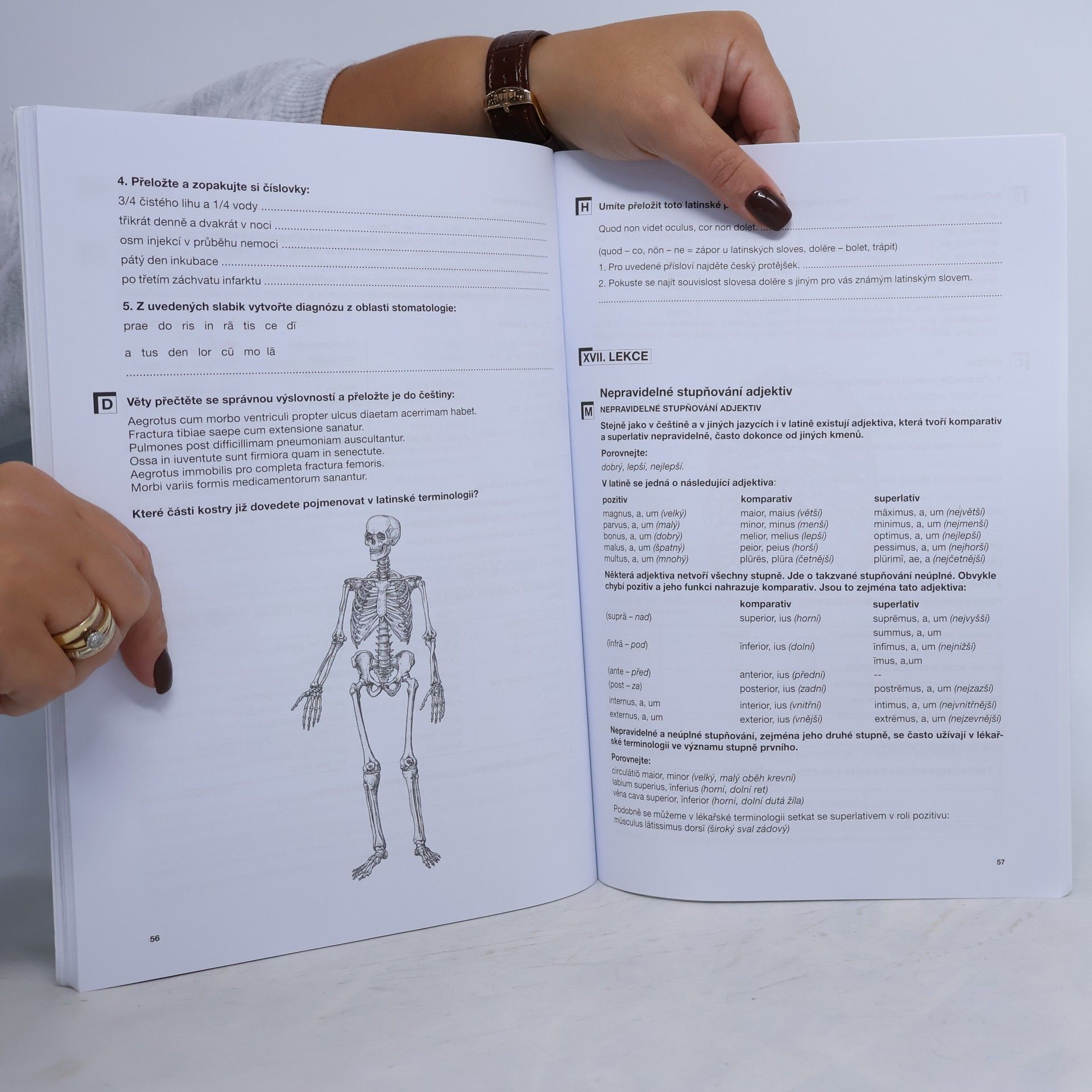 Vlasta Seinerová Latina Úvod do latinské terminologie: Pro střední školy se zdravotnickým zaměřením (2025)