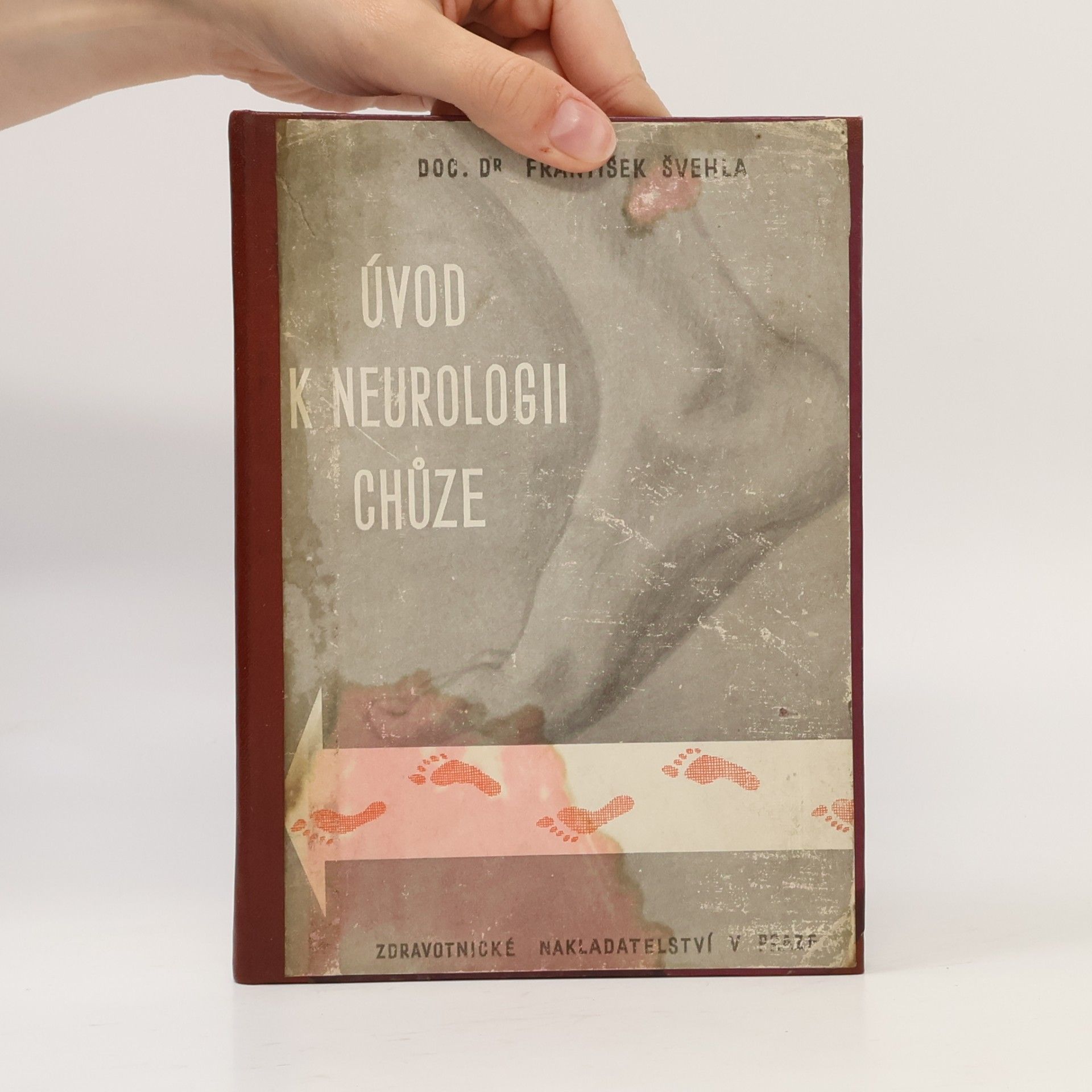 František Švehla ÚVOD K NEUROLOGII CHŮZE