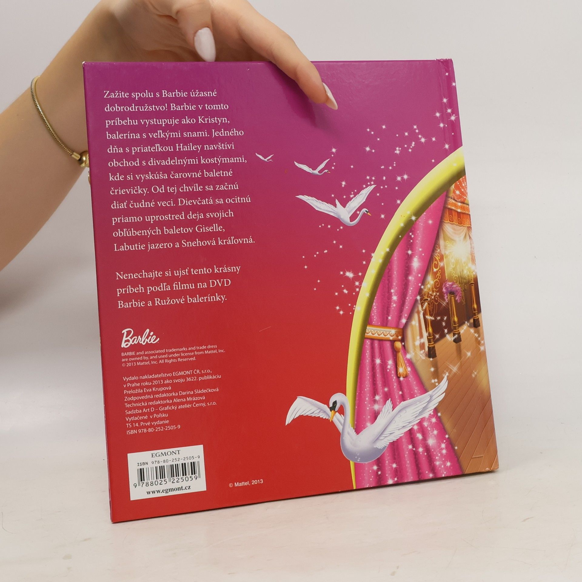Autorenkollektiv Barbie a ružové balerínky