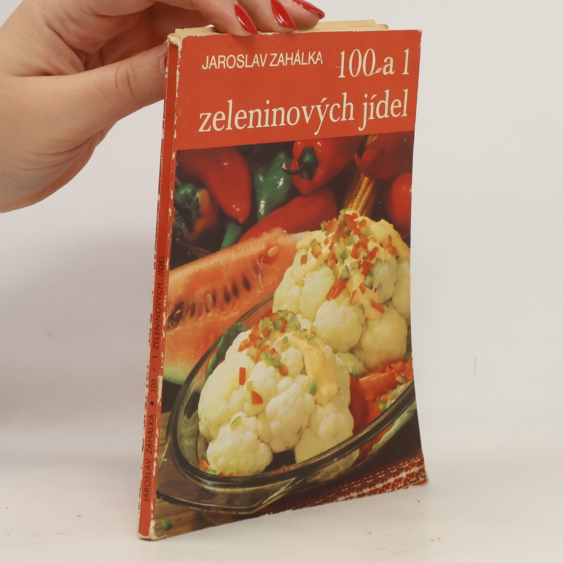 100 a 1 zeleninových jídel
