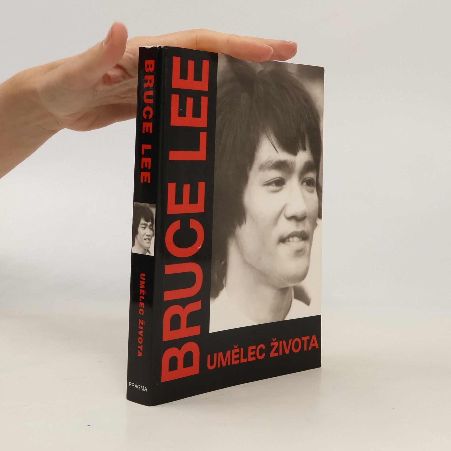 Bruce Lee, umělec života