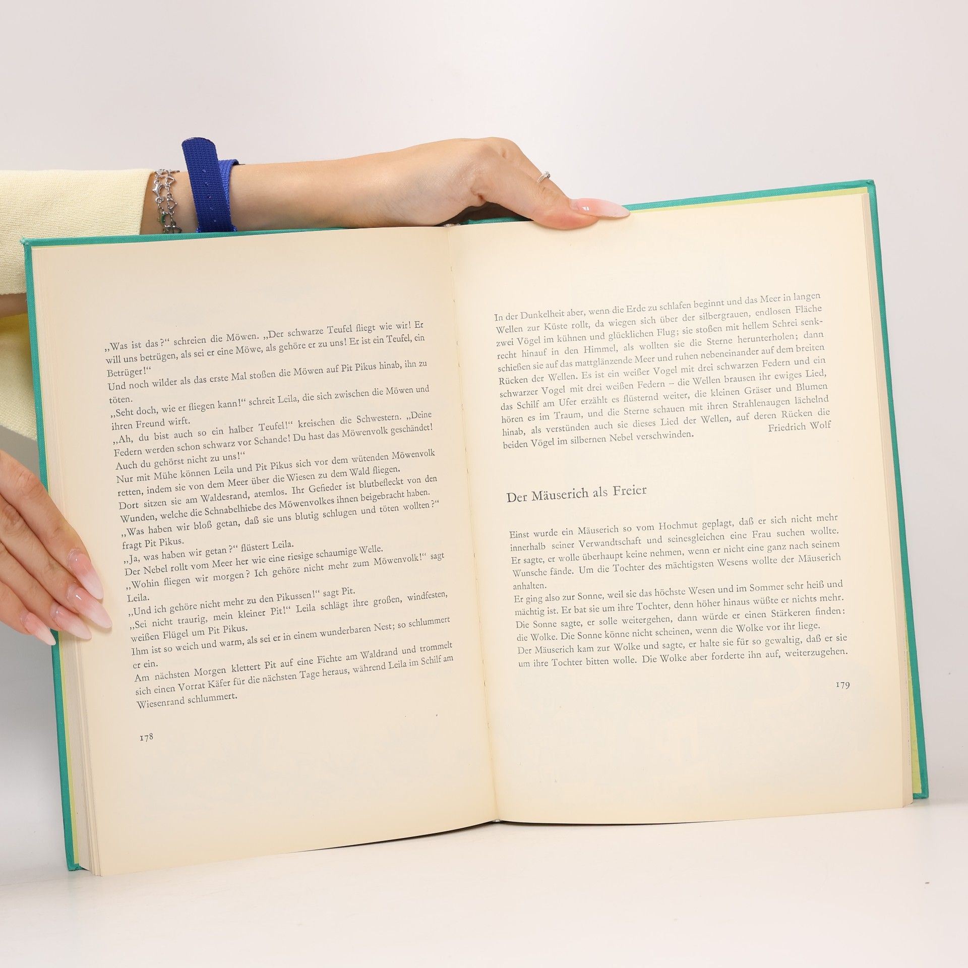 Autorenkollektiv Das Tierschiff