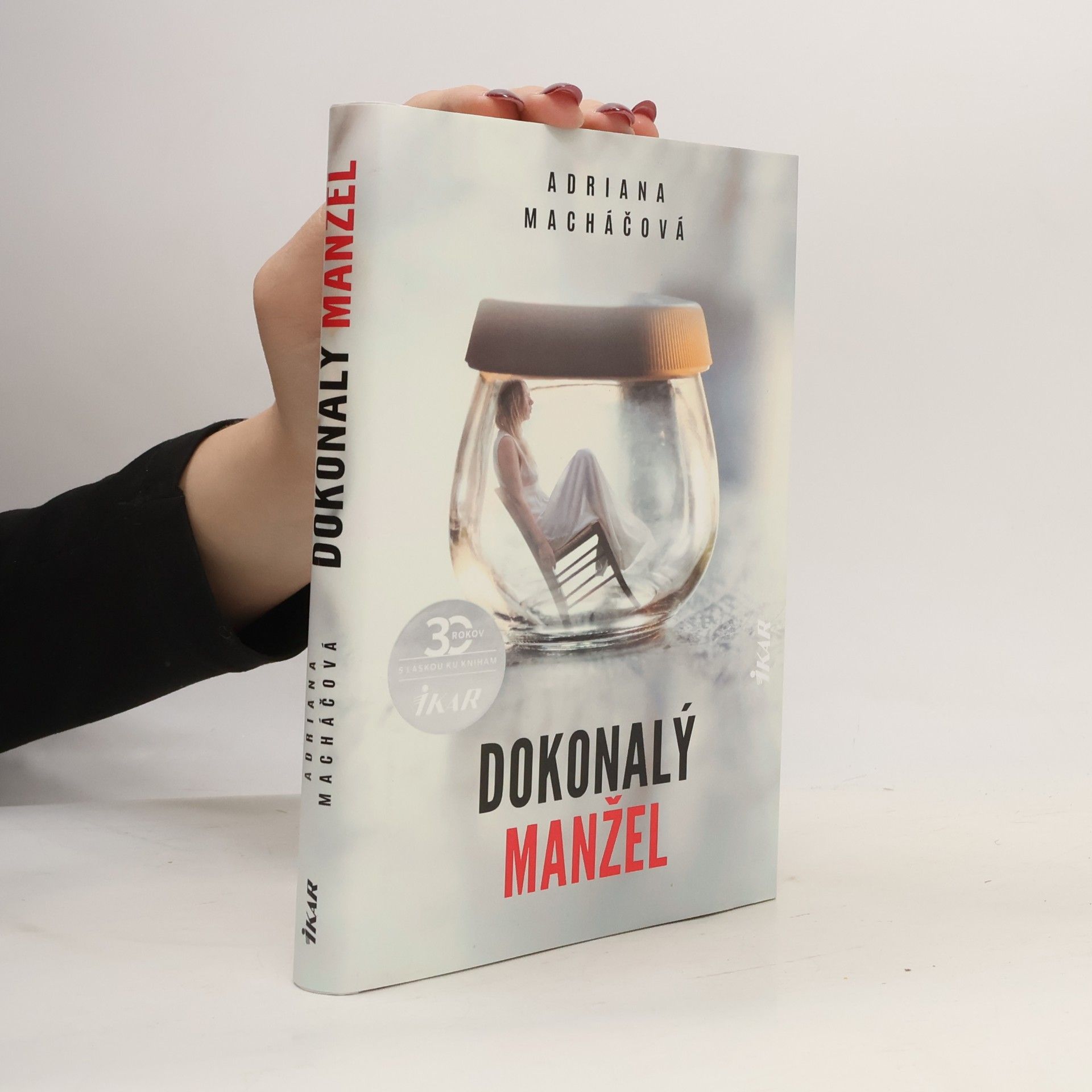 Dokonalý manžel