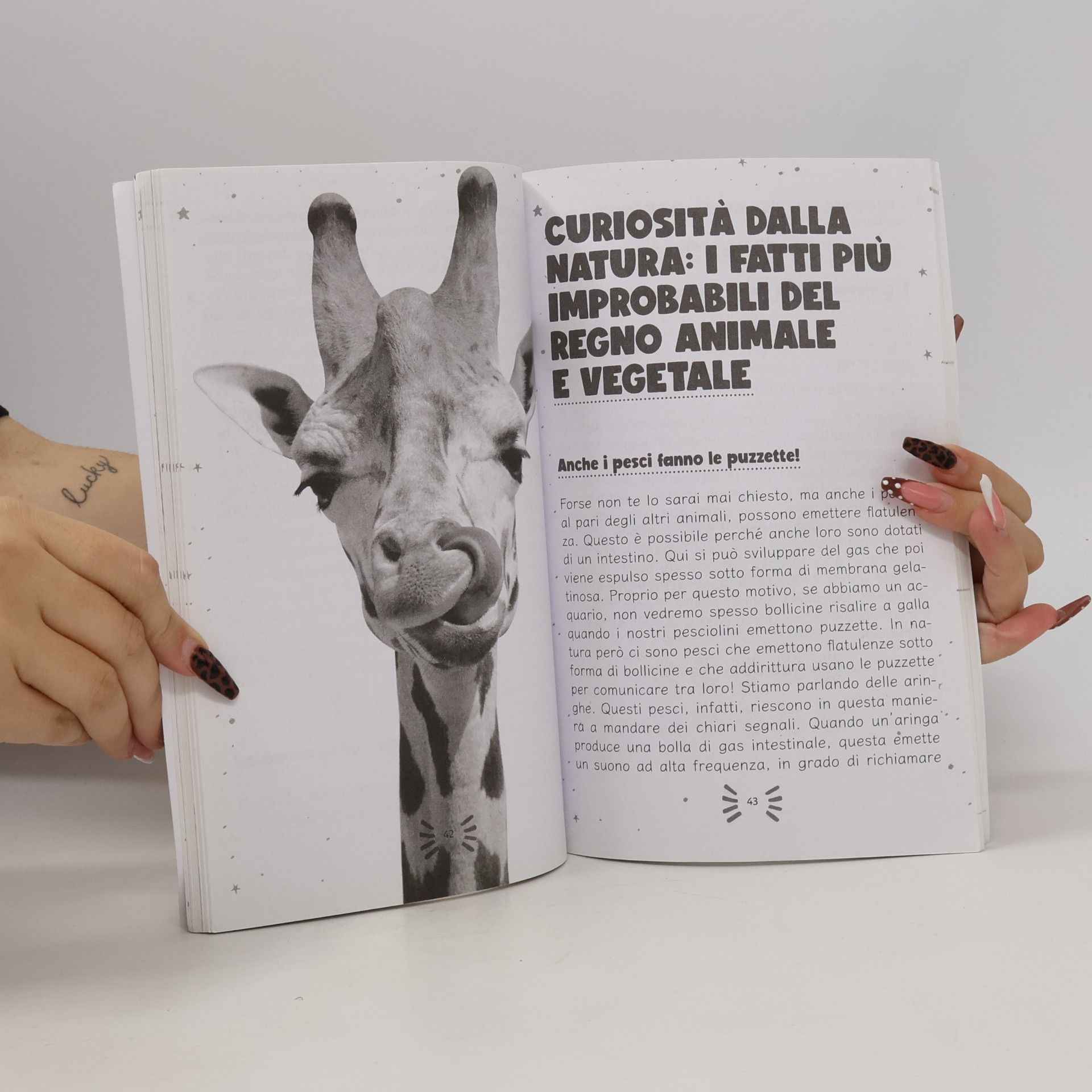 Kairoslandd 100 fatti incredibili per ragazzi curiosi: Un’esilarante raccolta delle cose più assurde, strane e vere che dovresti sapere | Include bonus & quiz finale