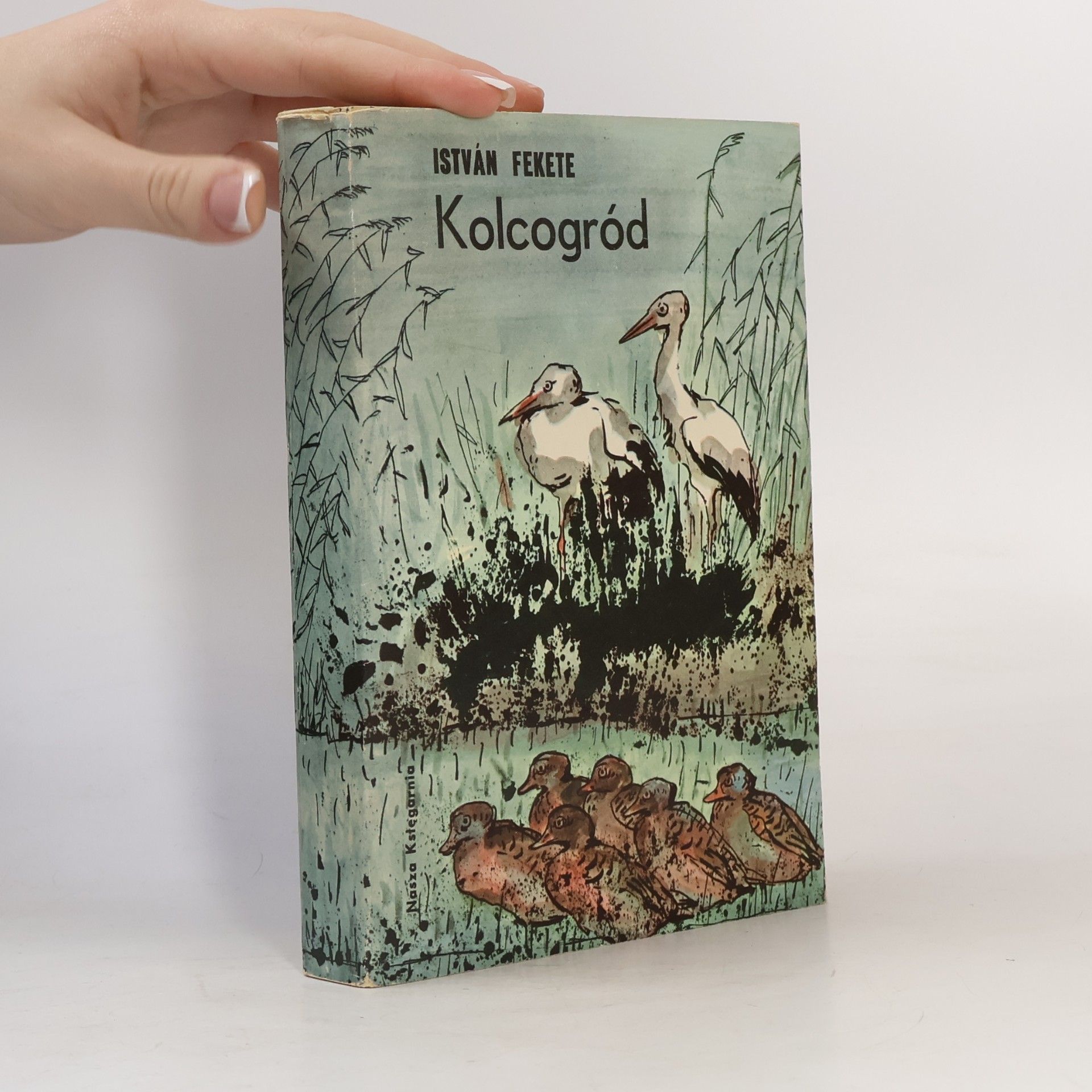 István Fekete Kolcogród