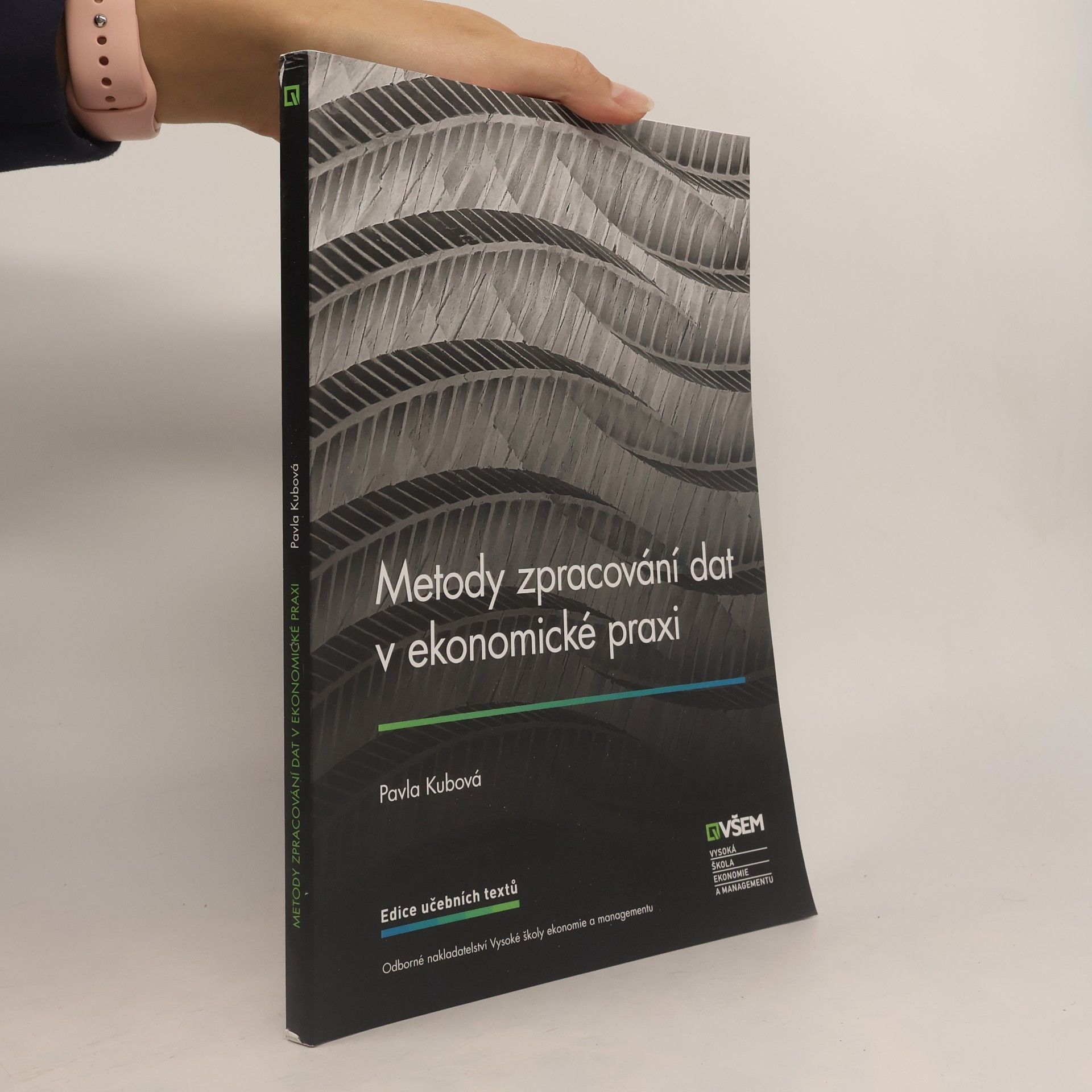 Metody zpracování dat v ekonomické praxi