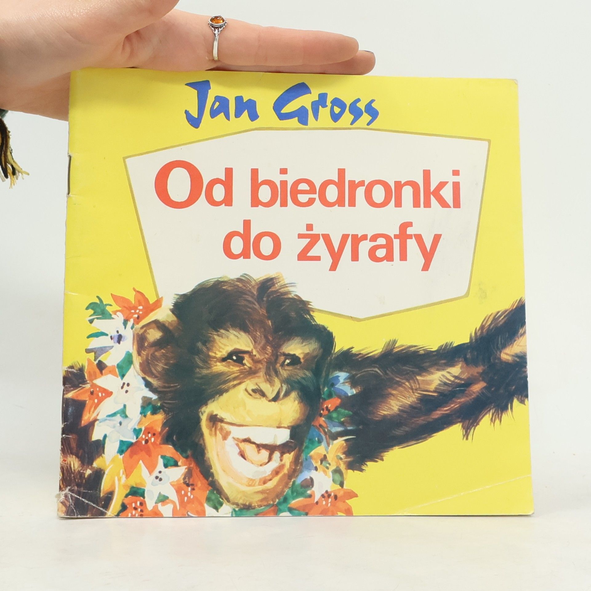 Od biedronki do żyrafy