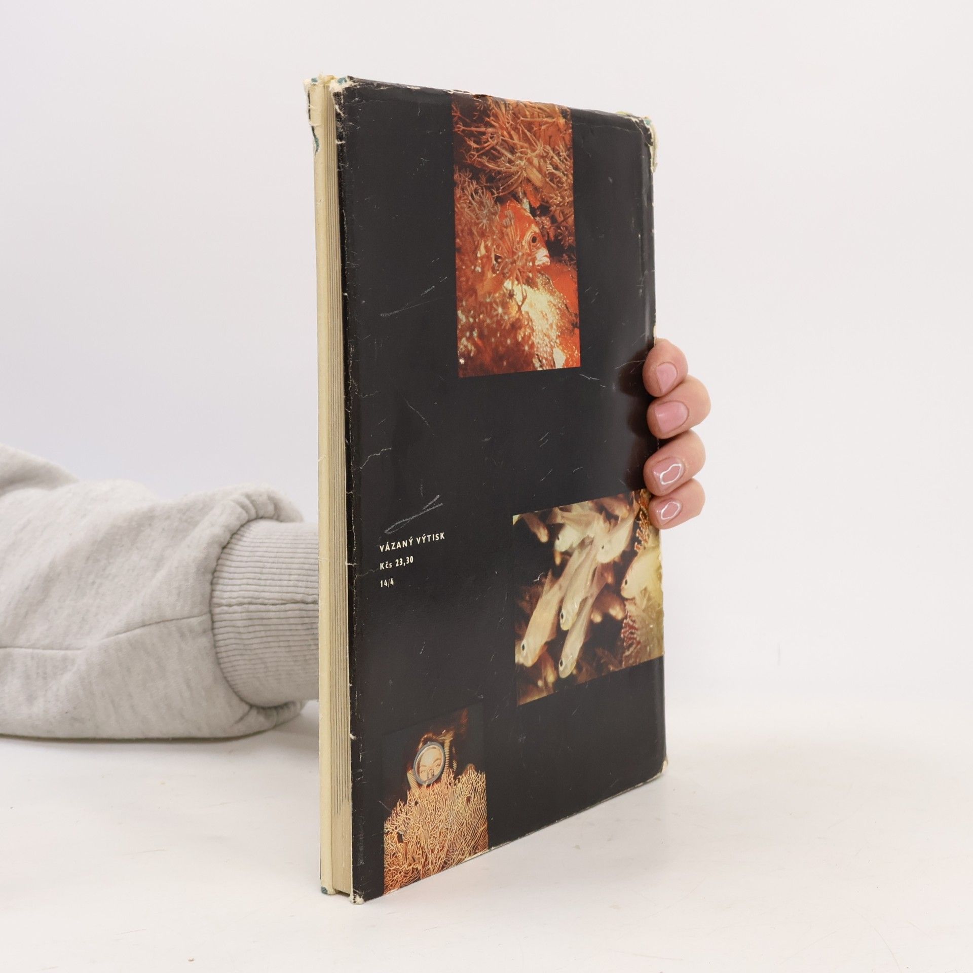 Hans Hass Dobytí podmořské říše