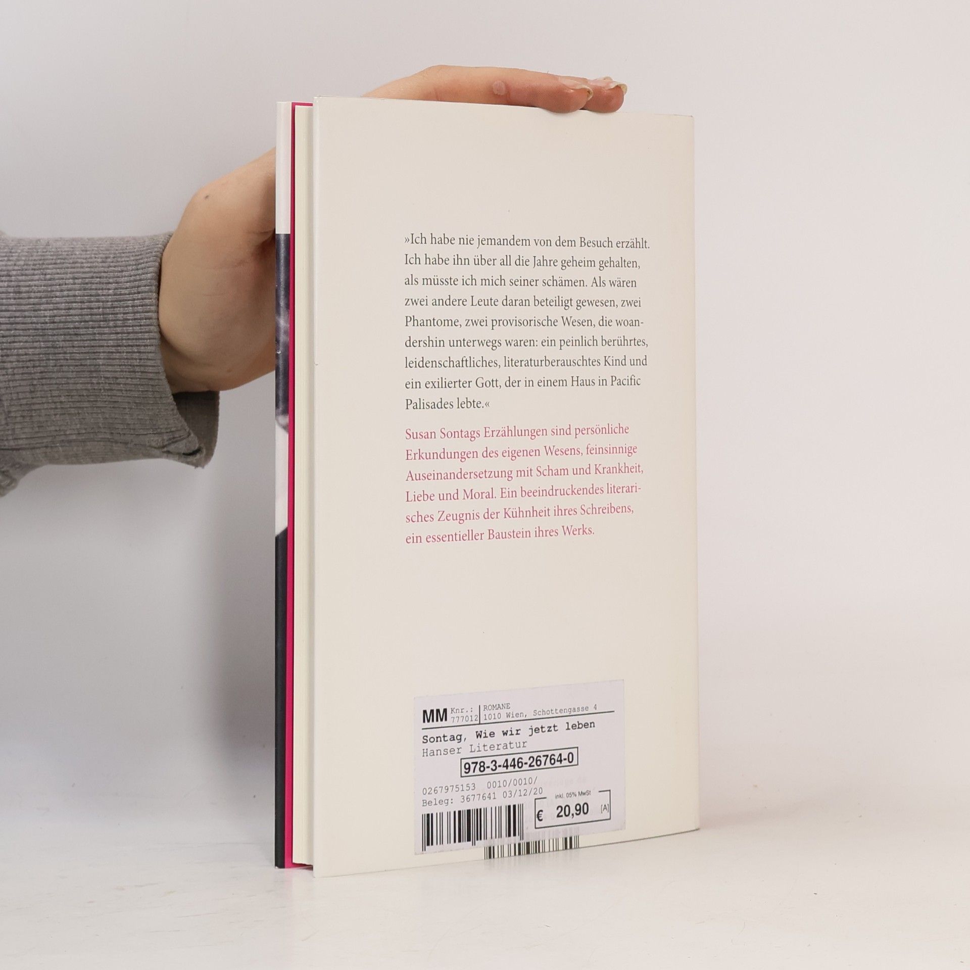 Susan Sontag Wie wir jetzt leben