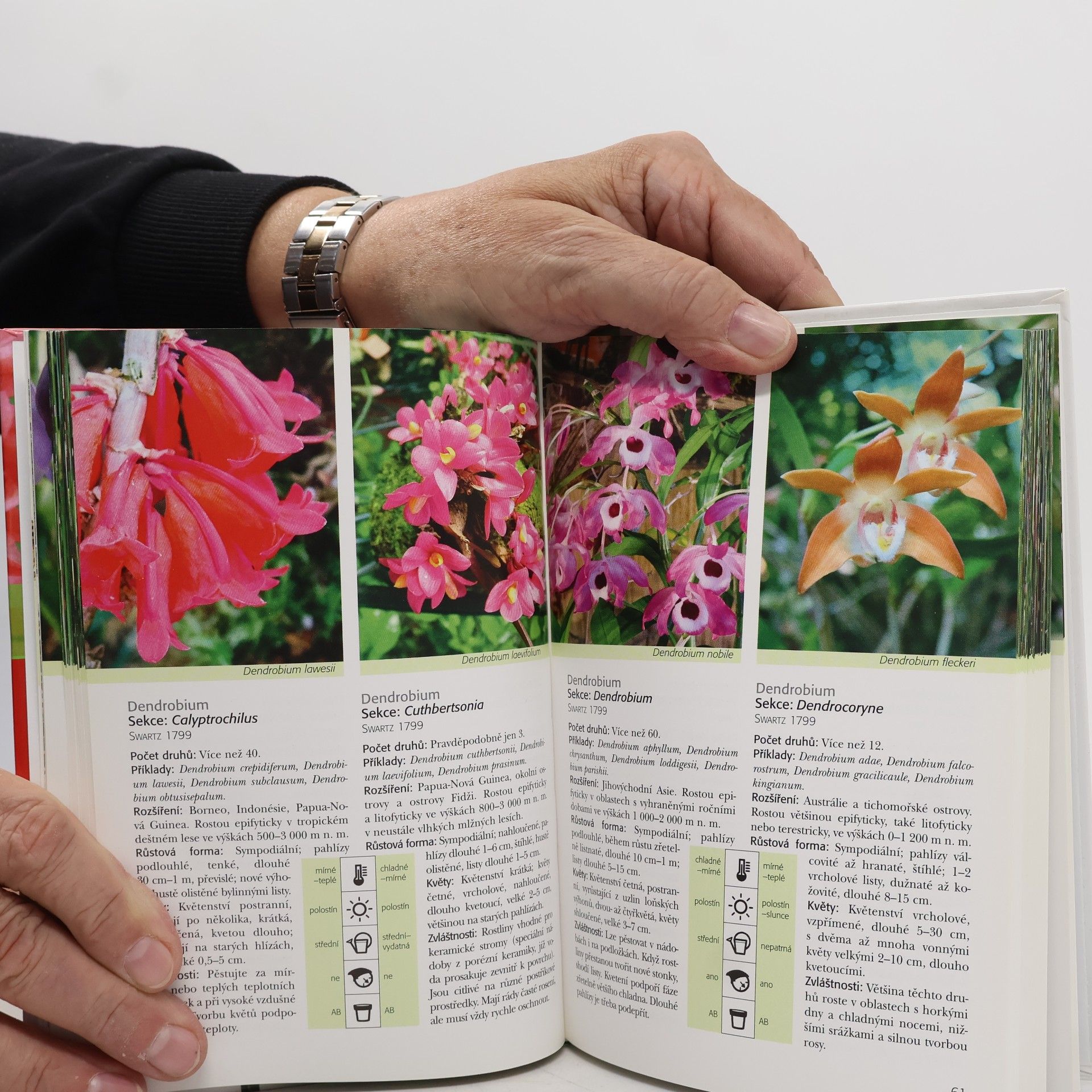 Lutz Röllke Orchideje od A do Z : 340 portrétů rostlin