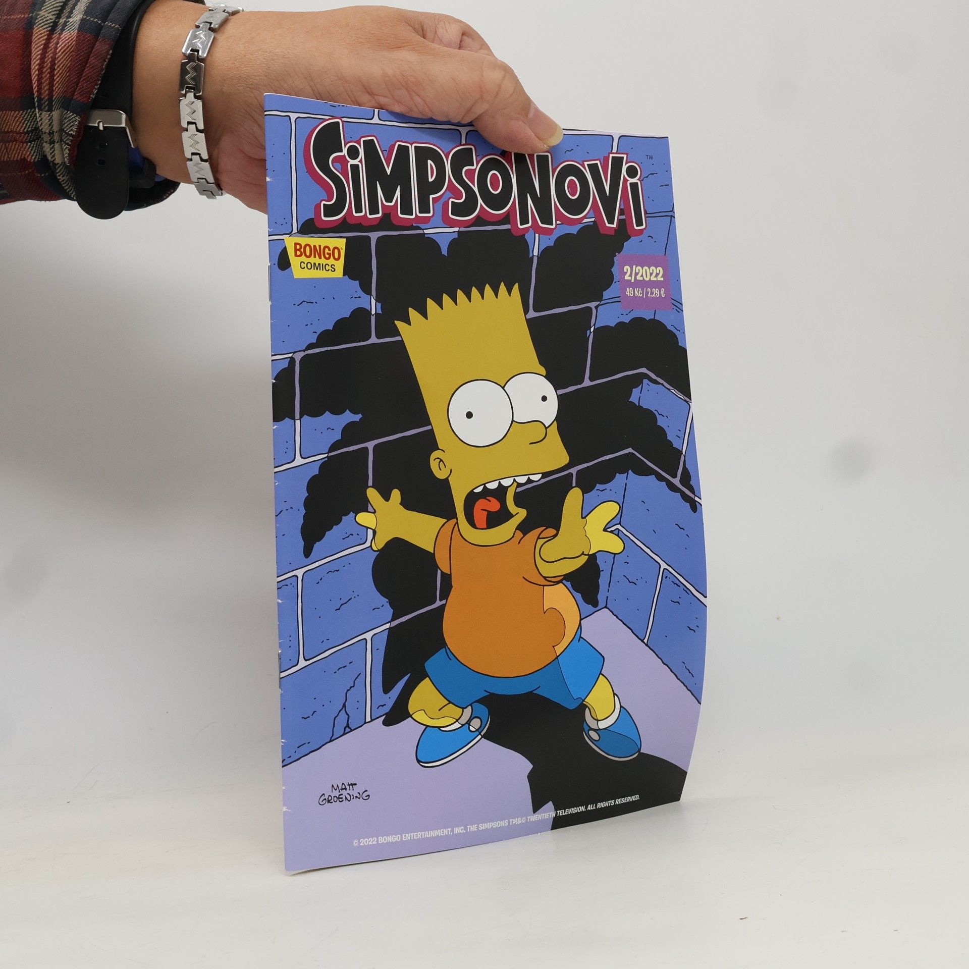 Kolektiv autorů Simpsonovi 2/2022