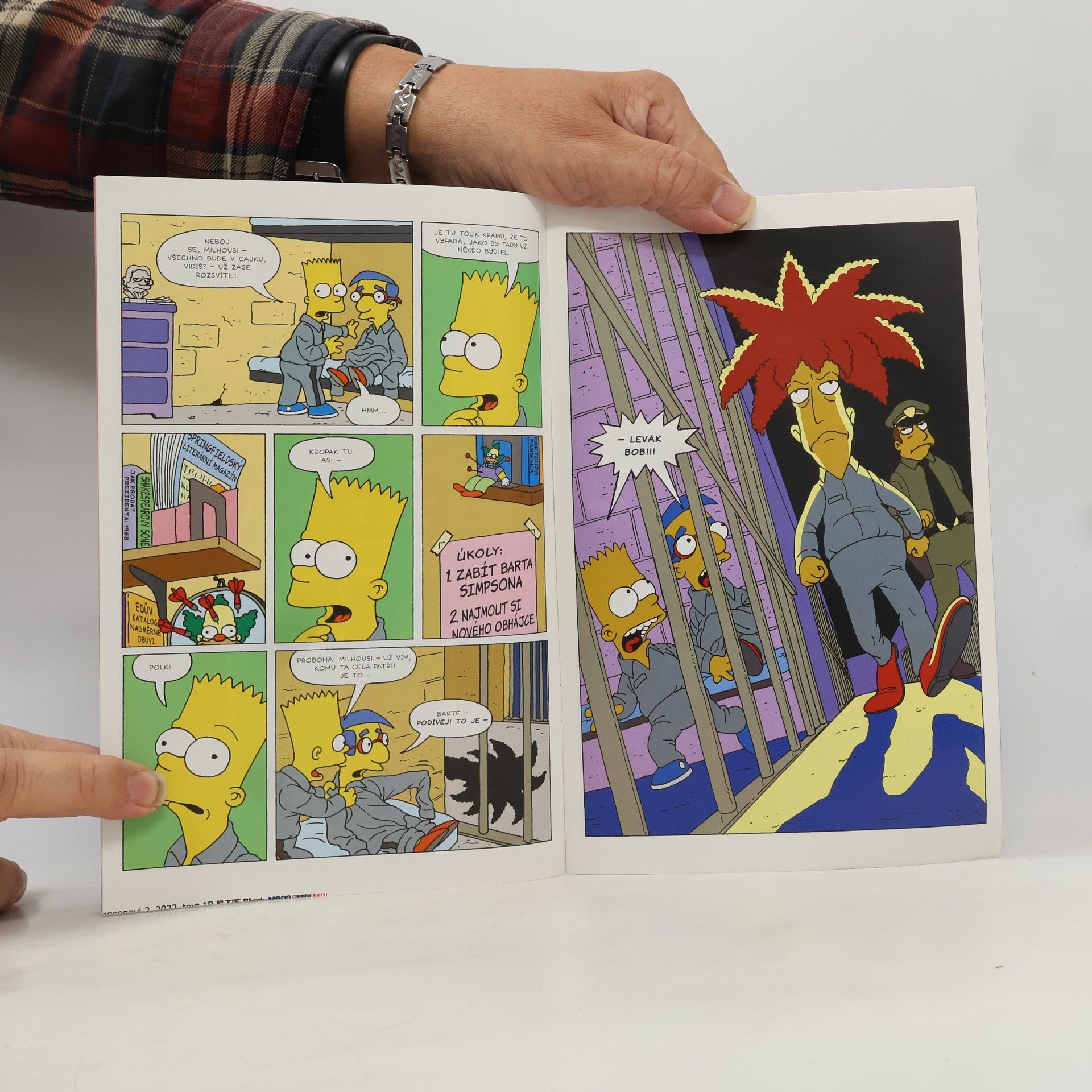 Kolektiv autorů Simpsonovi 2/2022