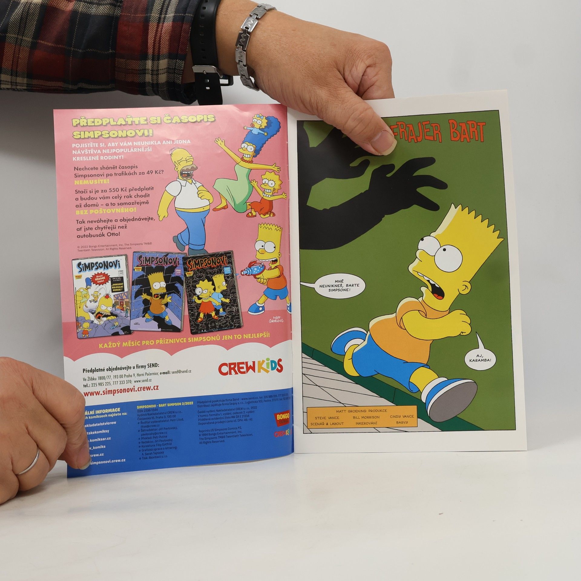 Kolektiv autorů Simpsonovi 2/2022