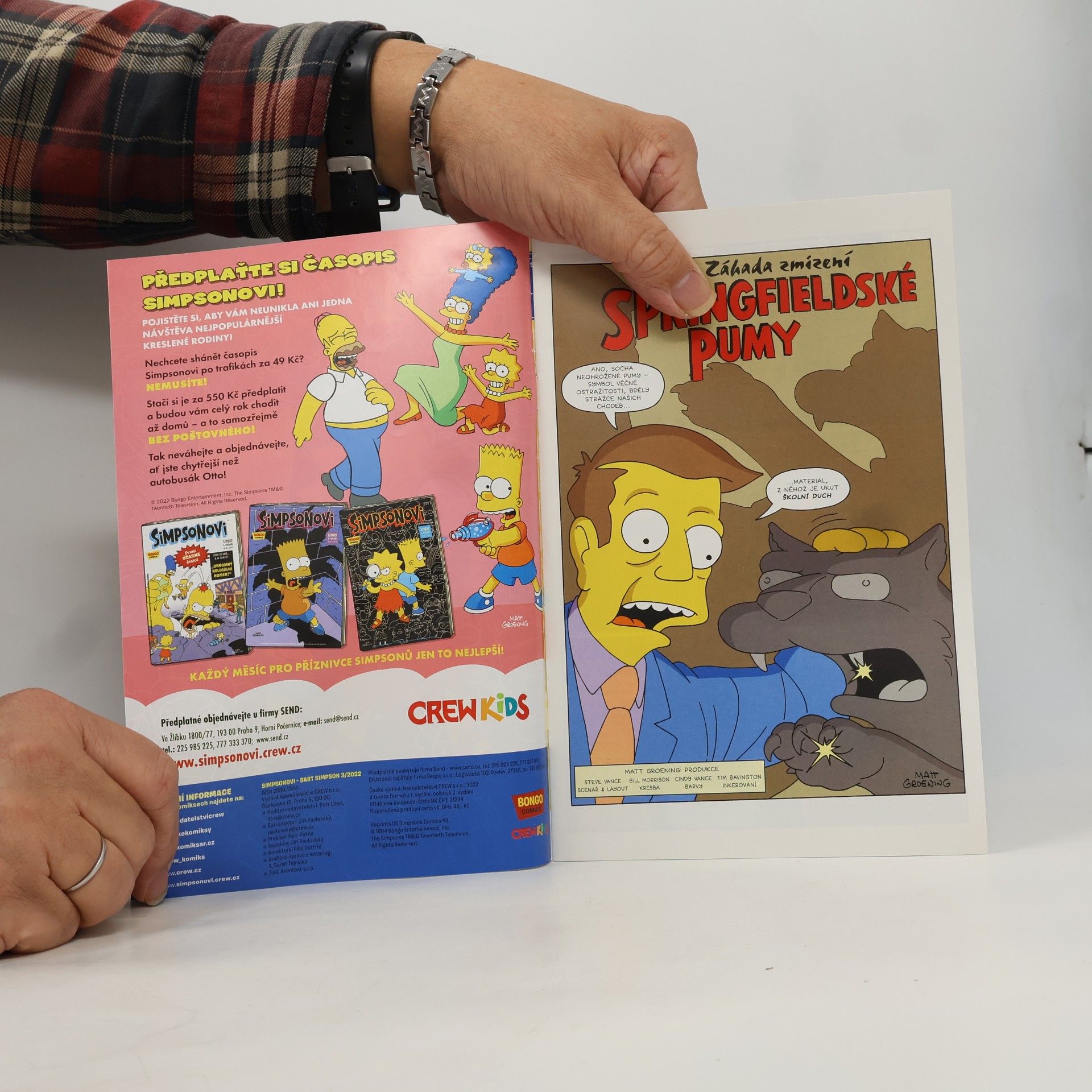 Matt Groening Simpsonovi 3/2022