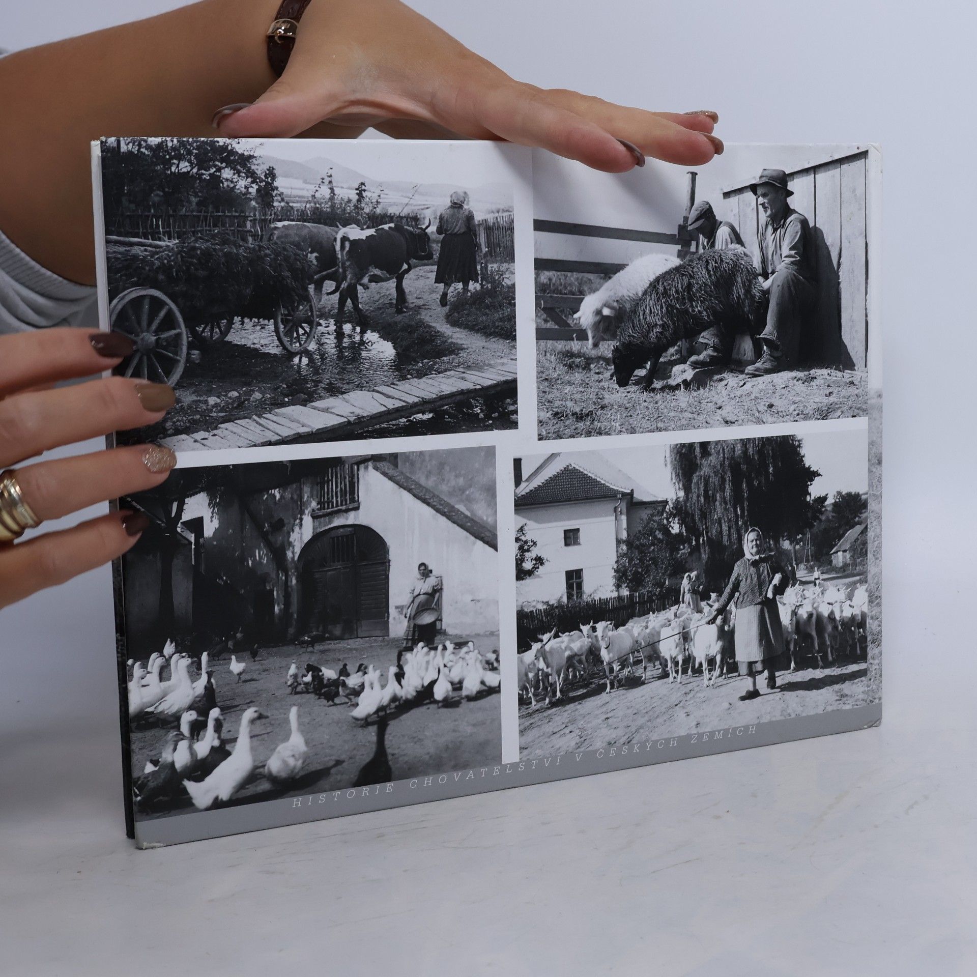 Vladimíra Růžičková Historie chovatelství v českých zemích: Z fotoarchivu Národního zemědělského muzea Praha