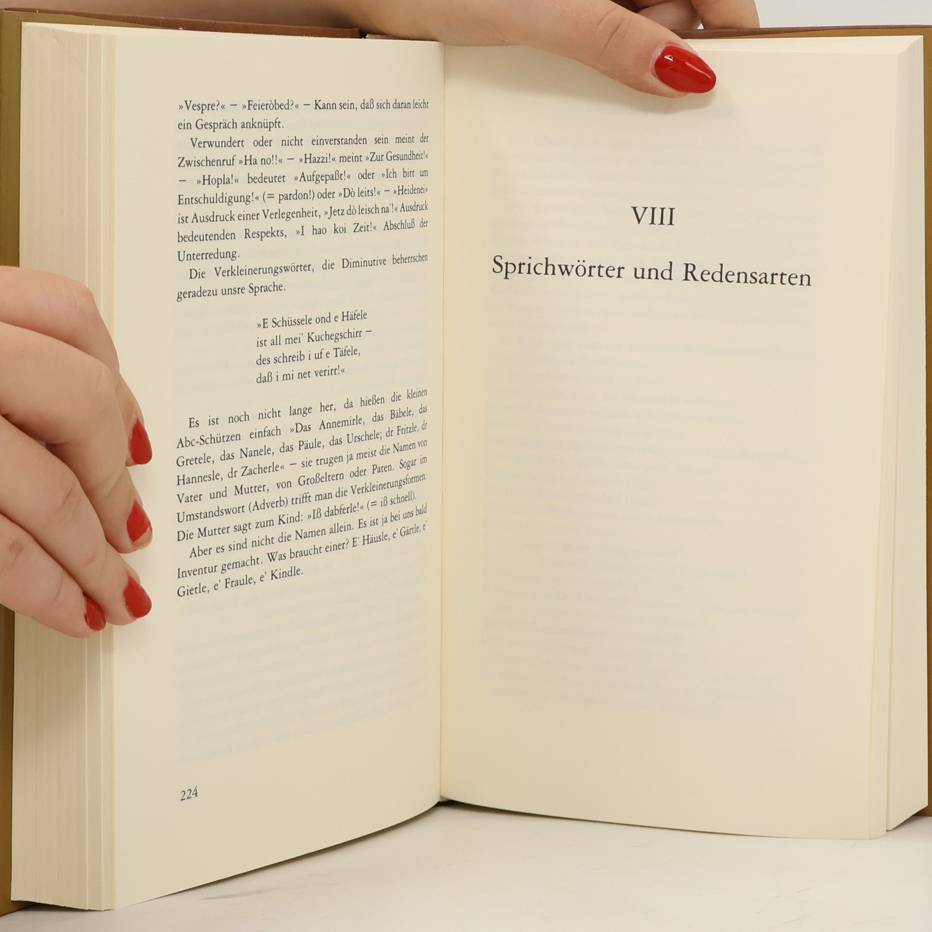 August Lämmle August-Lämmle-Schwabenbuch