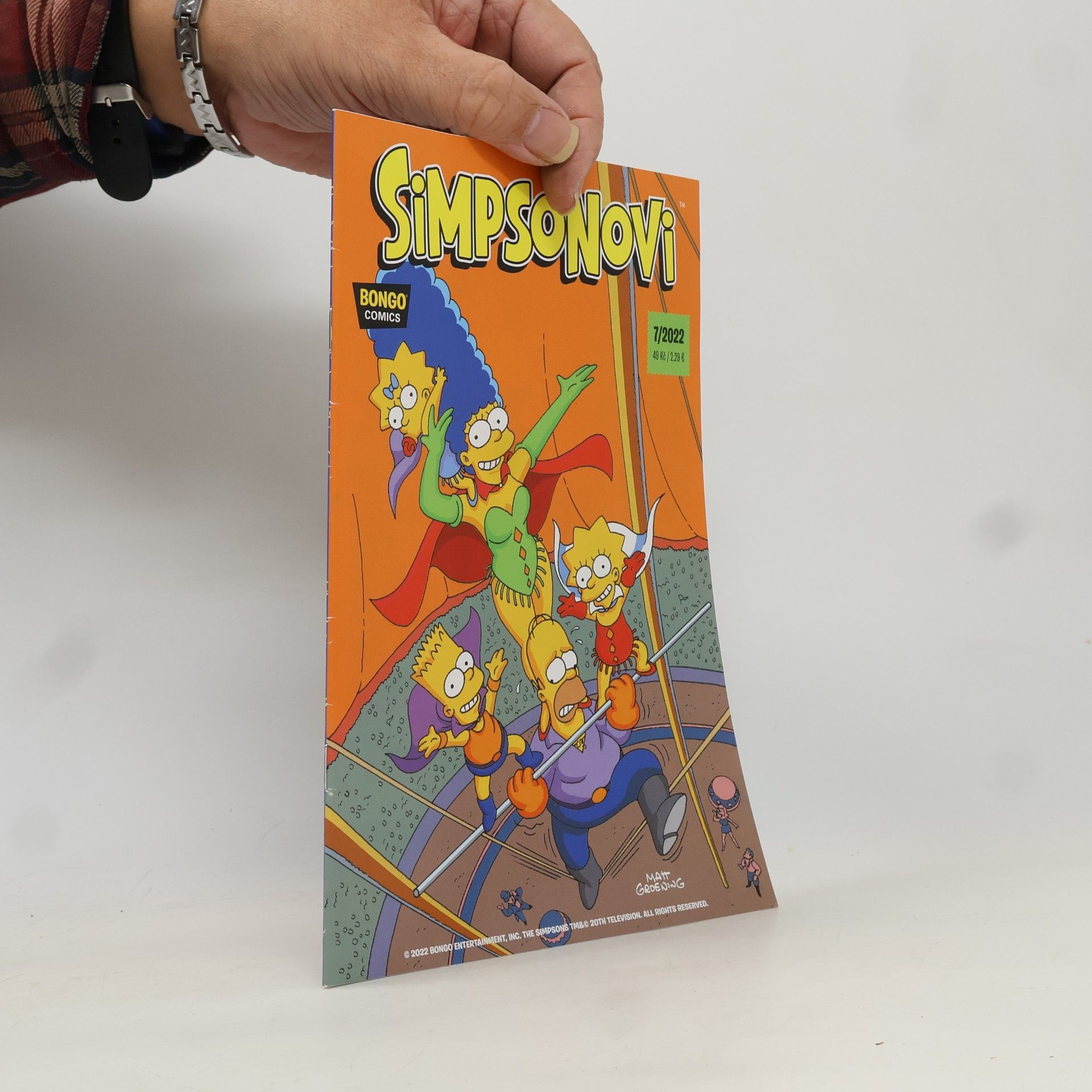Kolektiv autorů Simpsonovi 7/2022