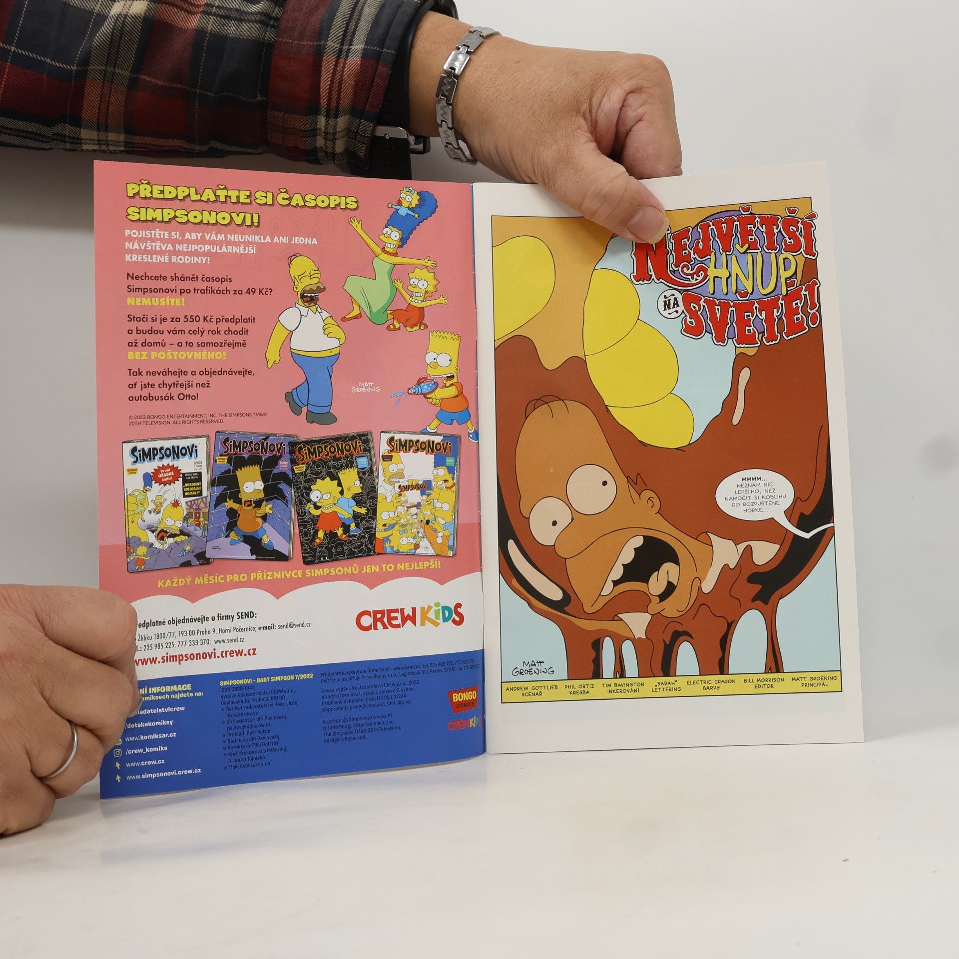 Kolektiv autorů Simpsonovi 7/2022