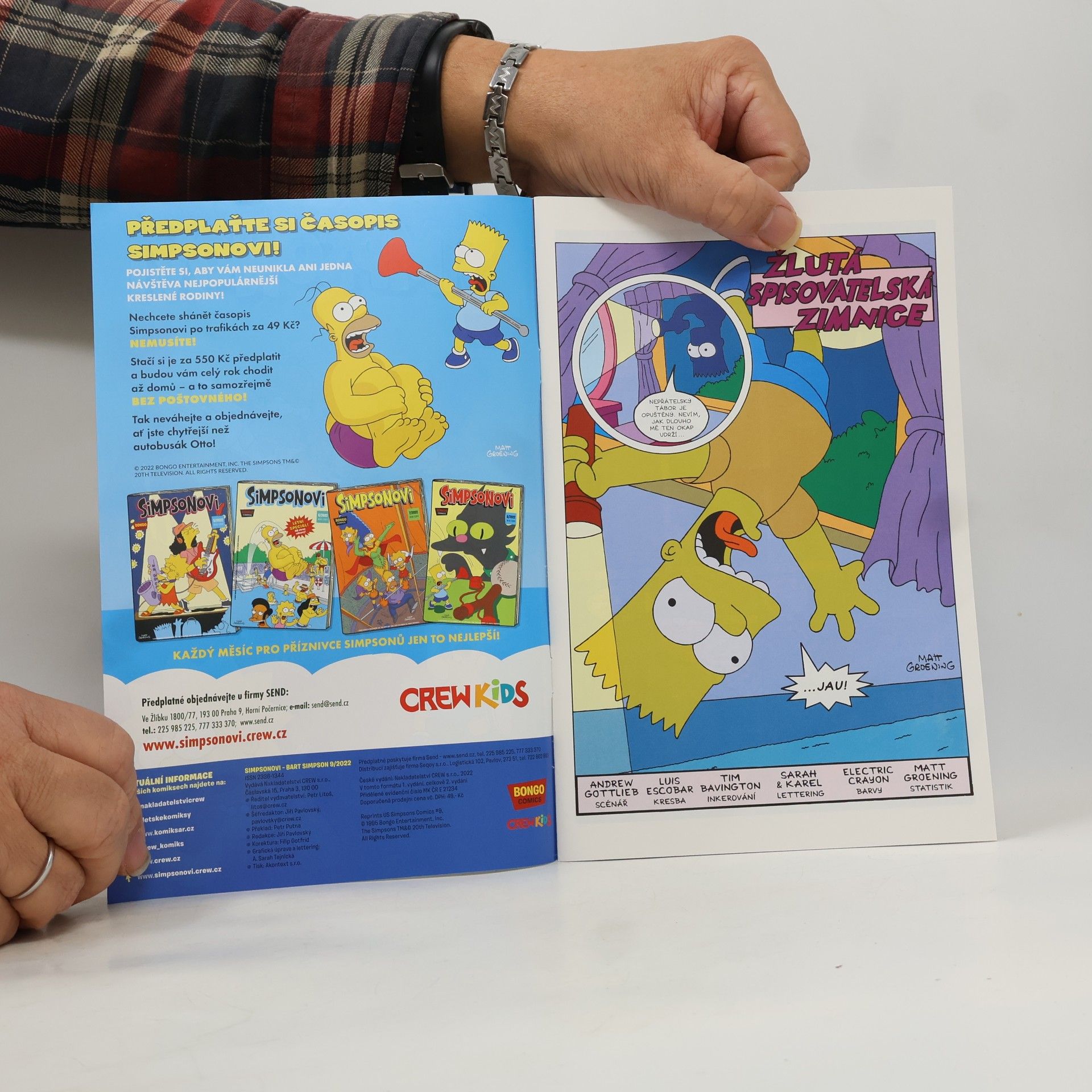 Auteurscollectief Simpsonovi 9/2022