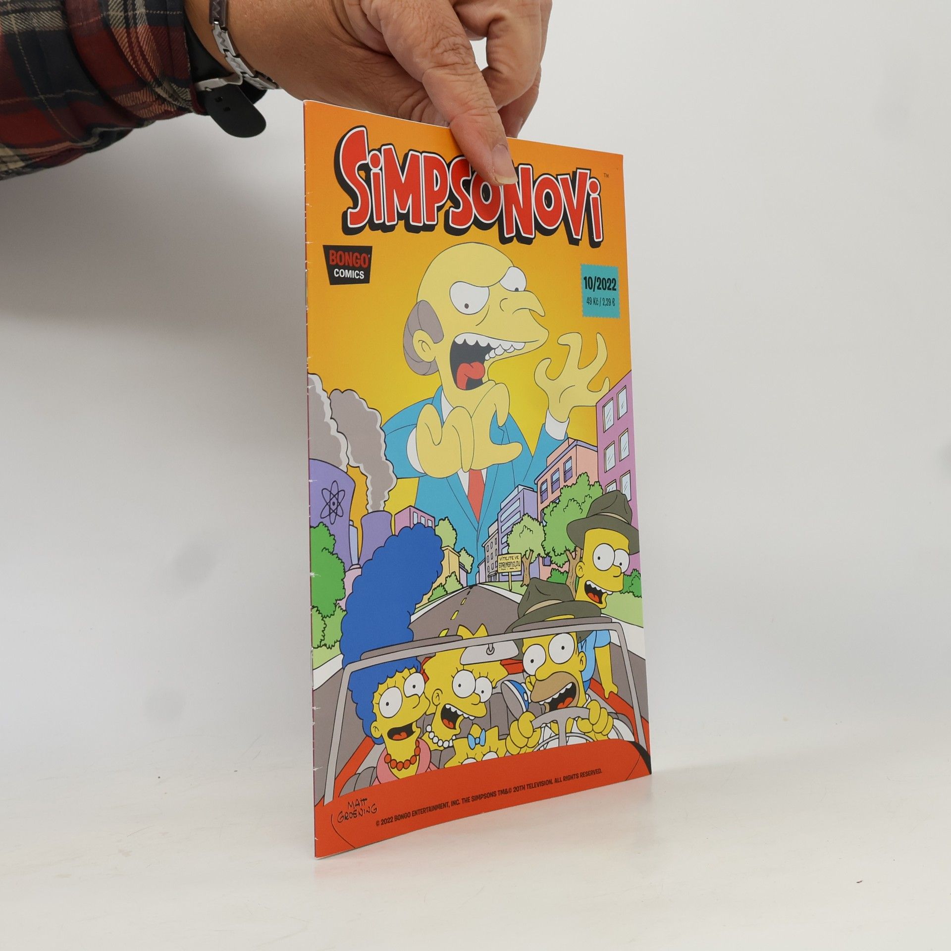 AA.VV. Simpsonovi 10/2022