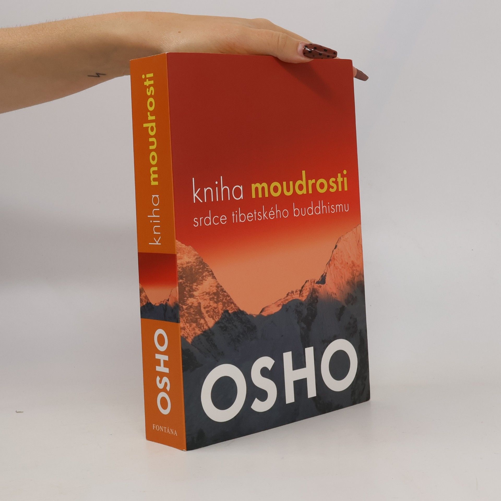 Kniha moudrosti. Srdce tibetského buddhismu