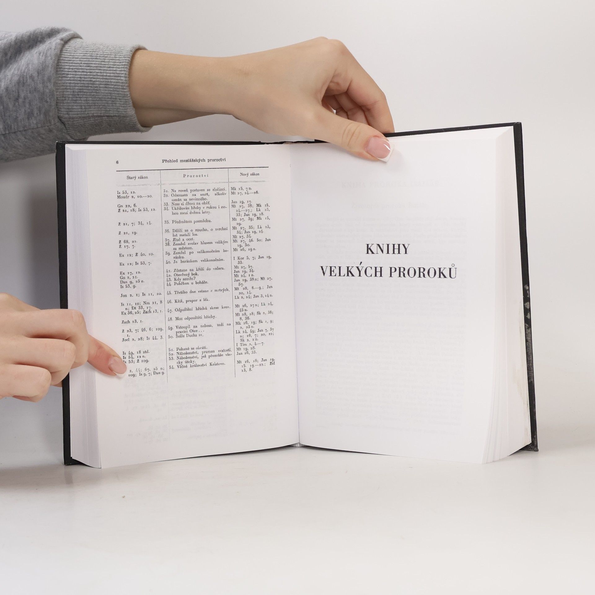 Jan Hejčl Bible česká. Starý zákon II.