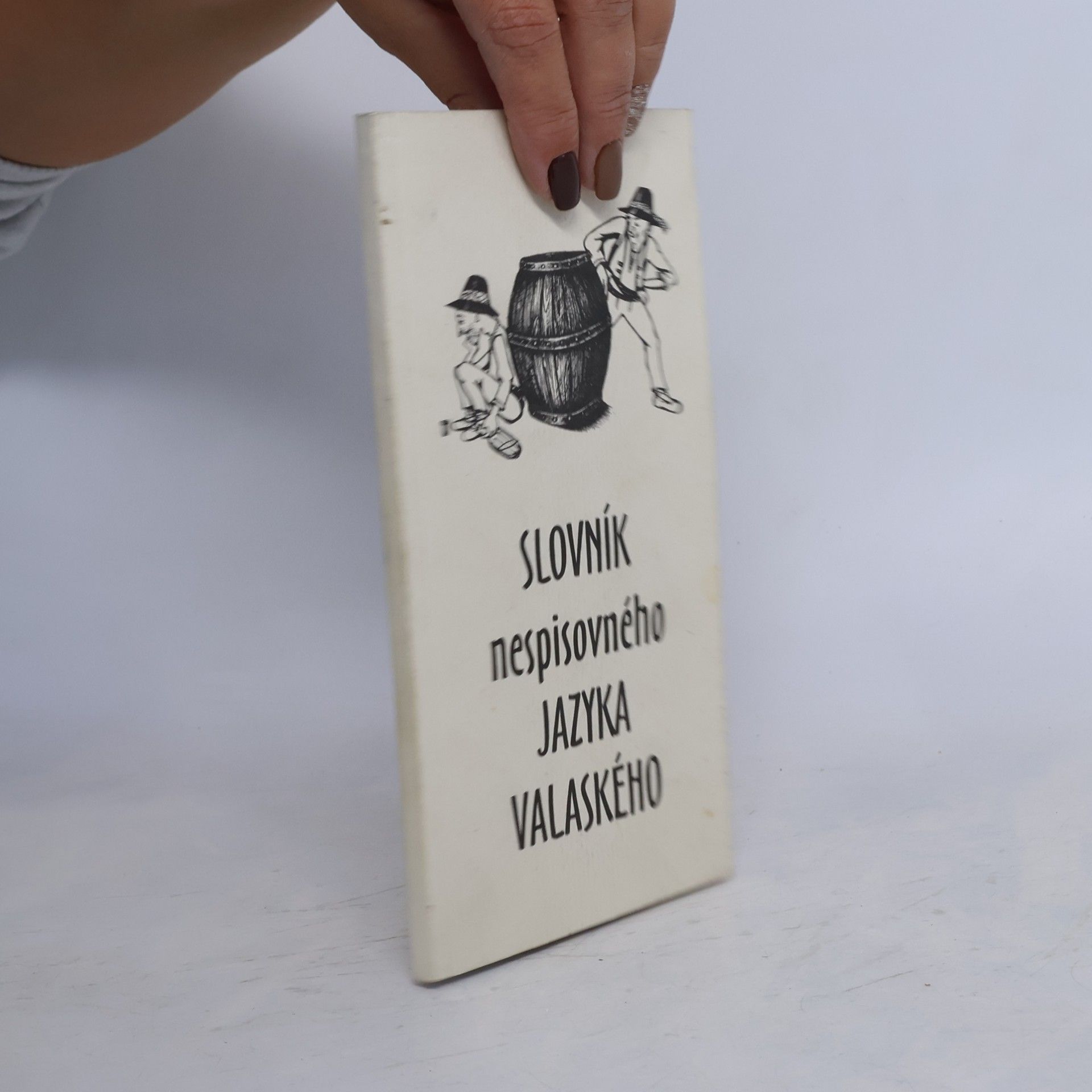 Slovník nespisovného jazyka valaského