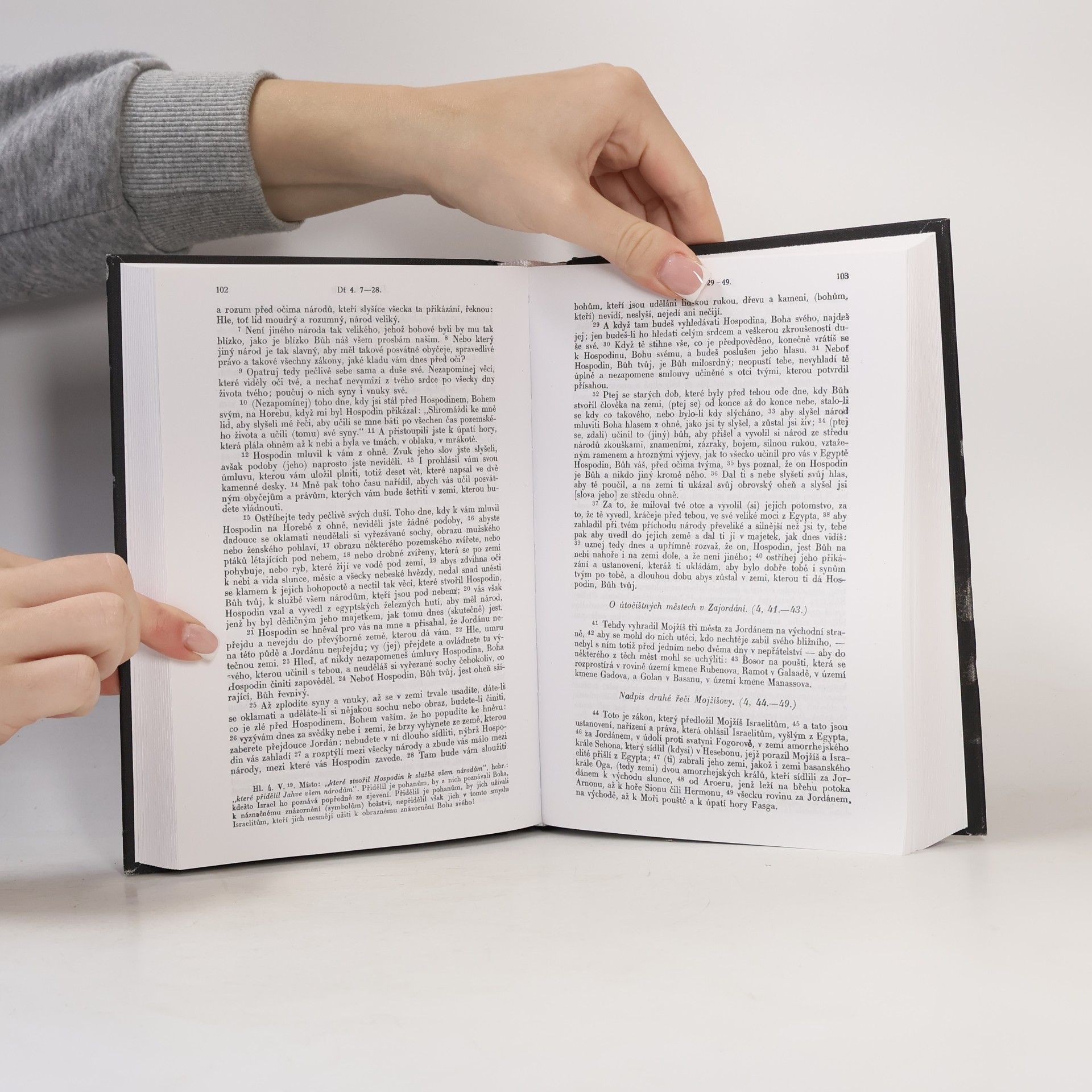 Jan Hejčl Bible česká I.