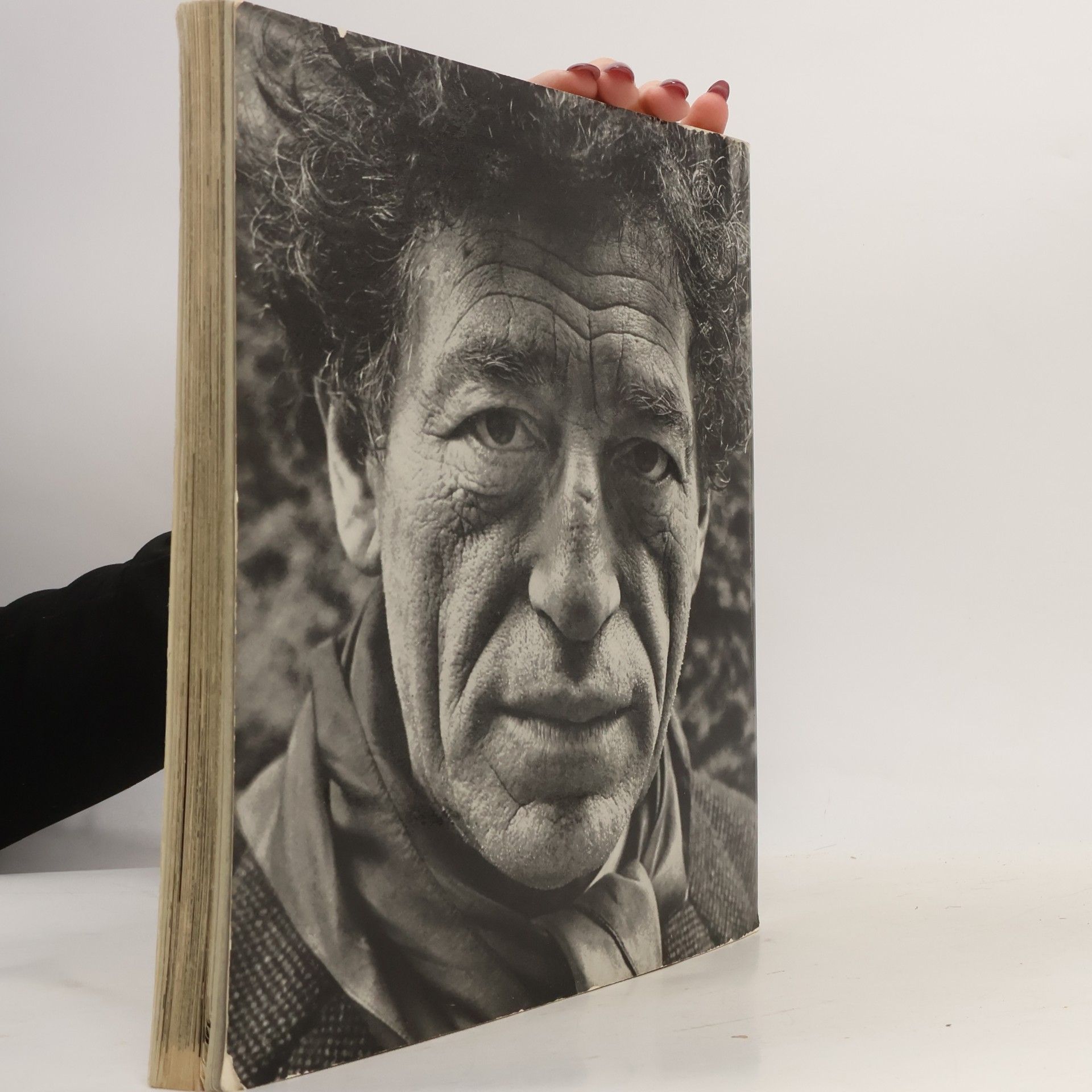 Heinrich Böll Weltausstellung der Photographie