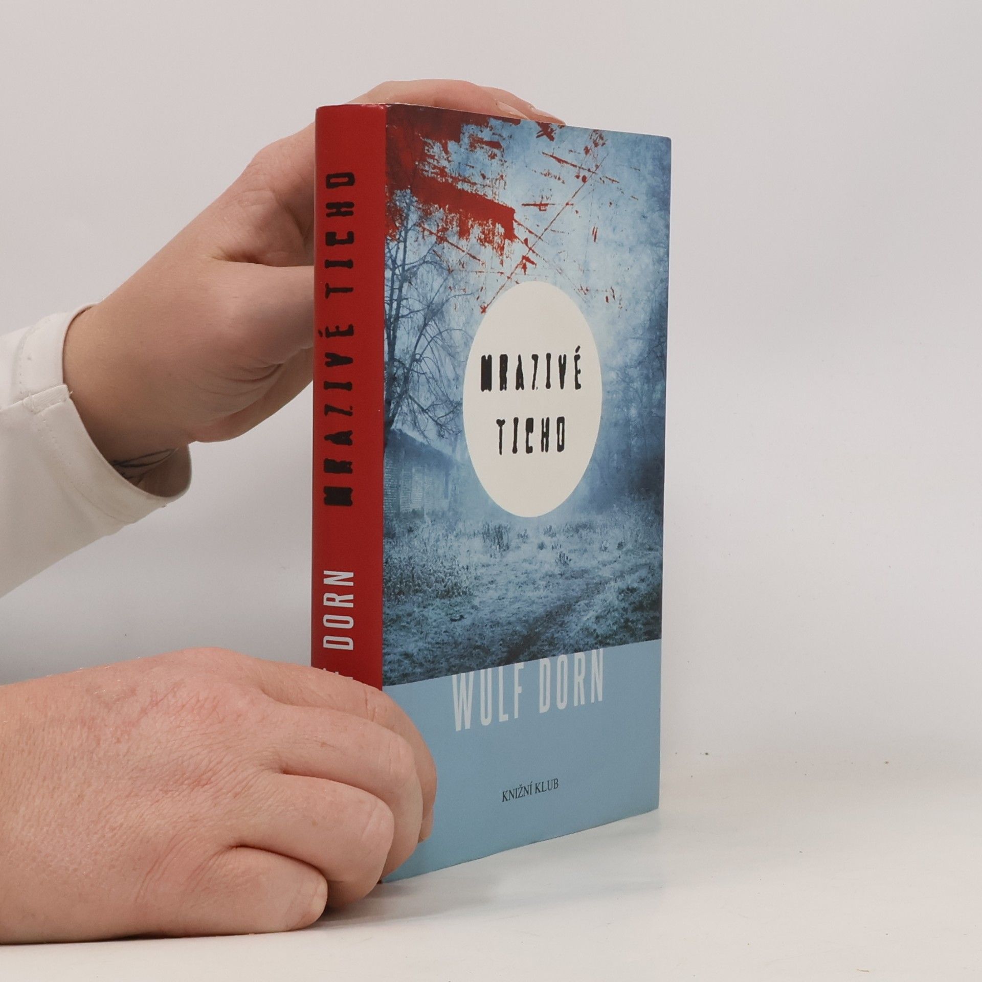 Wulf Dorn Mrazivé ticho