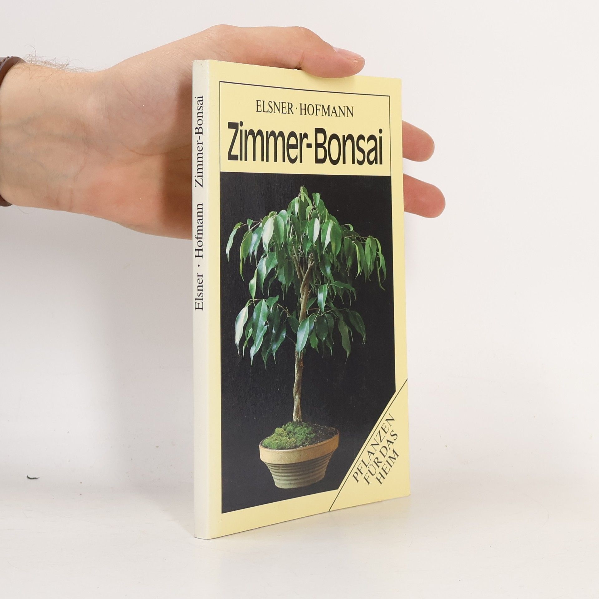Zimmer-Bonsai