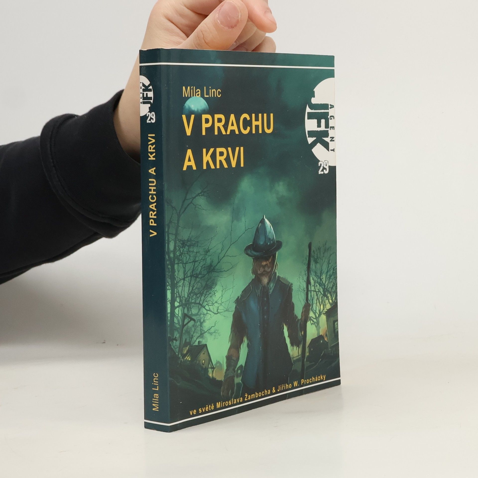 V prachu a krvi