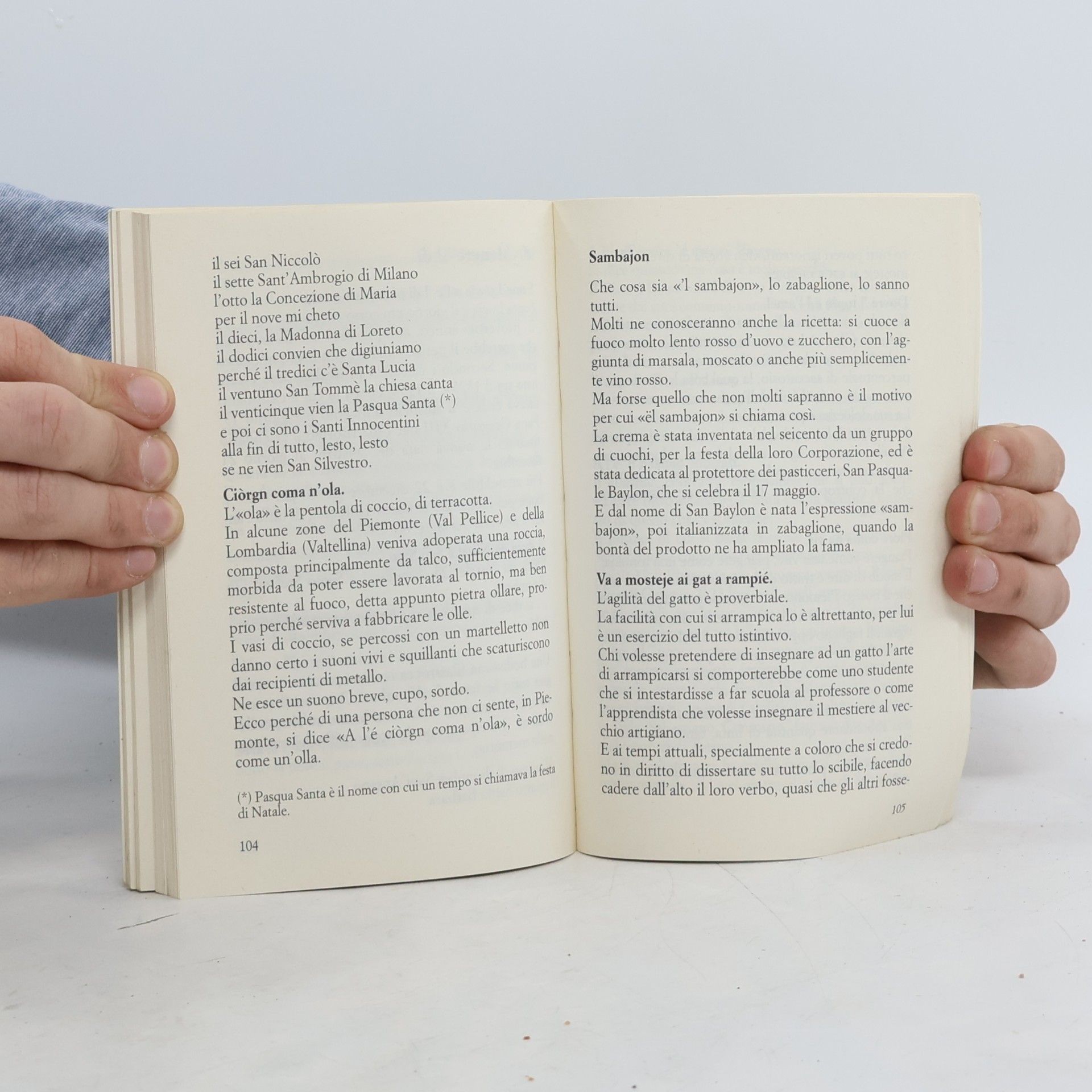 Delfina Sissoldo Fiorini Biblioteca economica Piemonte in bancarella - 14: A mòda nòstra