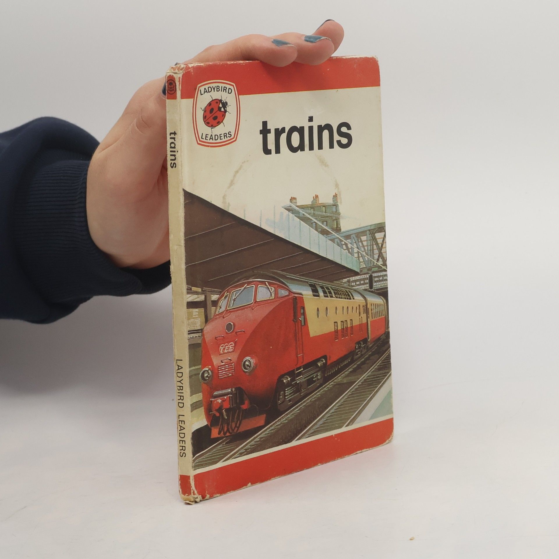 David Carey Ladybird Leaders: Trains