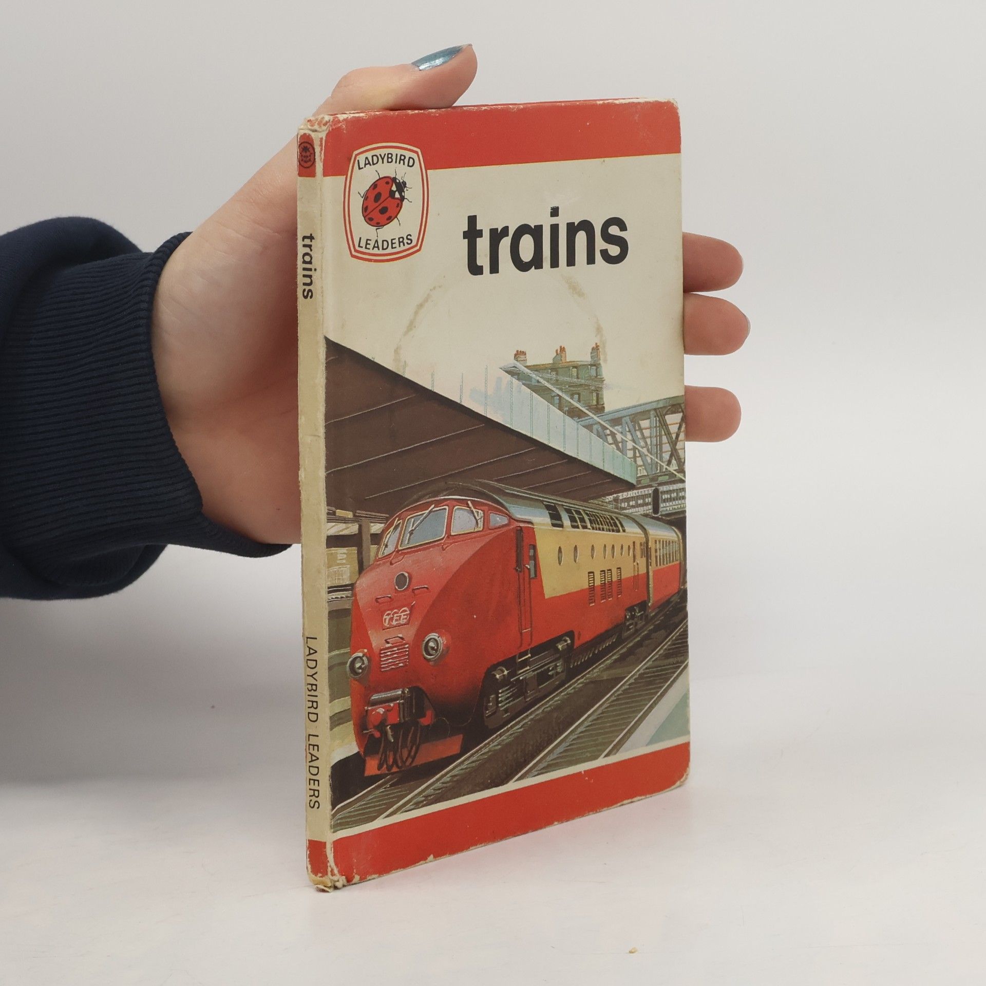 David Carey Ladybird Leaders: Trains