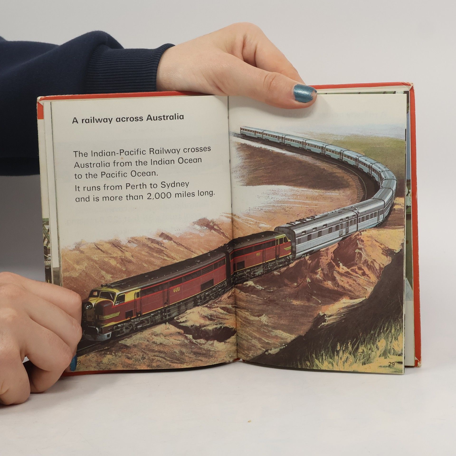 David Carey Ladybird Leaders: Trains