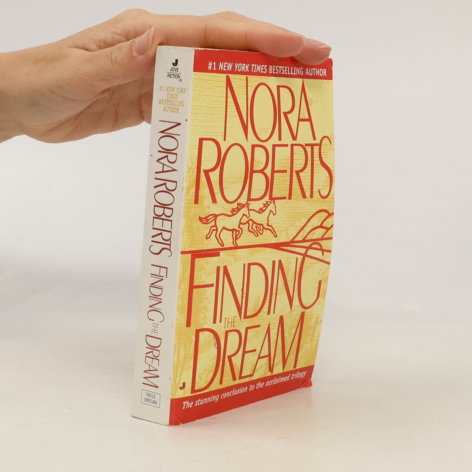 Finding the Dream