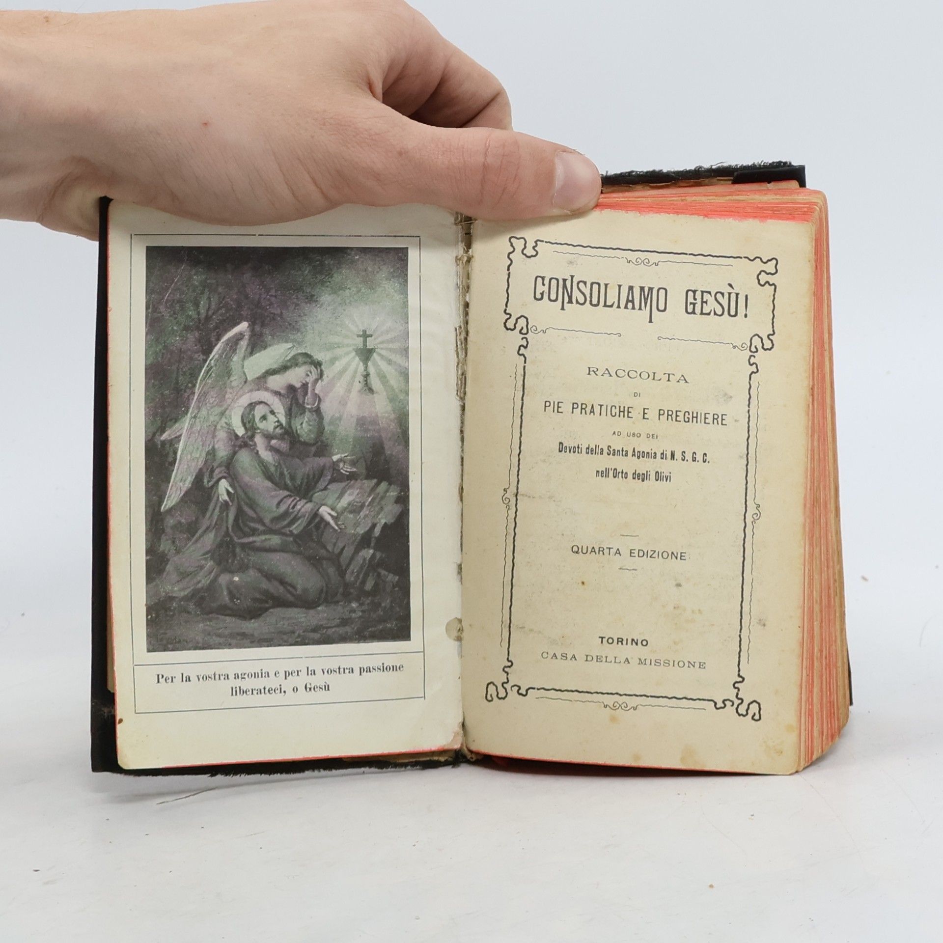 Various authors CONSOLIAMO GESÙ! RACCOLTA DI PIE PRATICHE E PREGHIERE AD USO DEI Devoti della Santa Agonia di N. S. G. C. nell'Orto degli Olivi