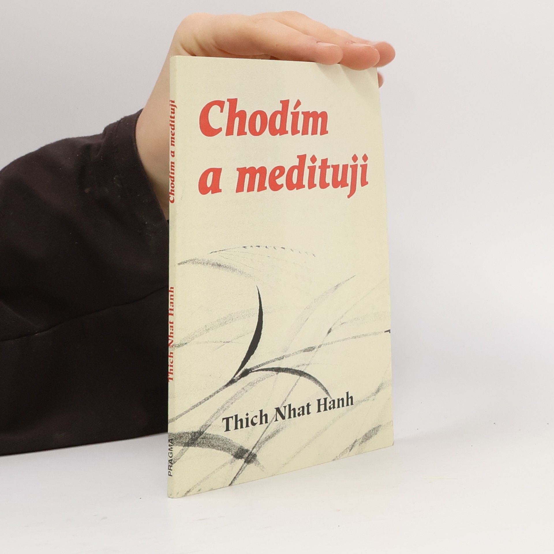 Robert Baker Aitken Chodím a medituji