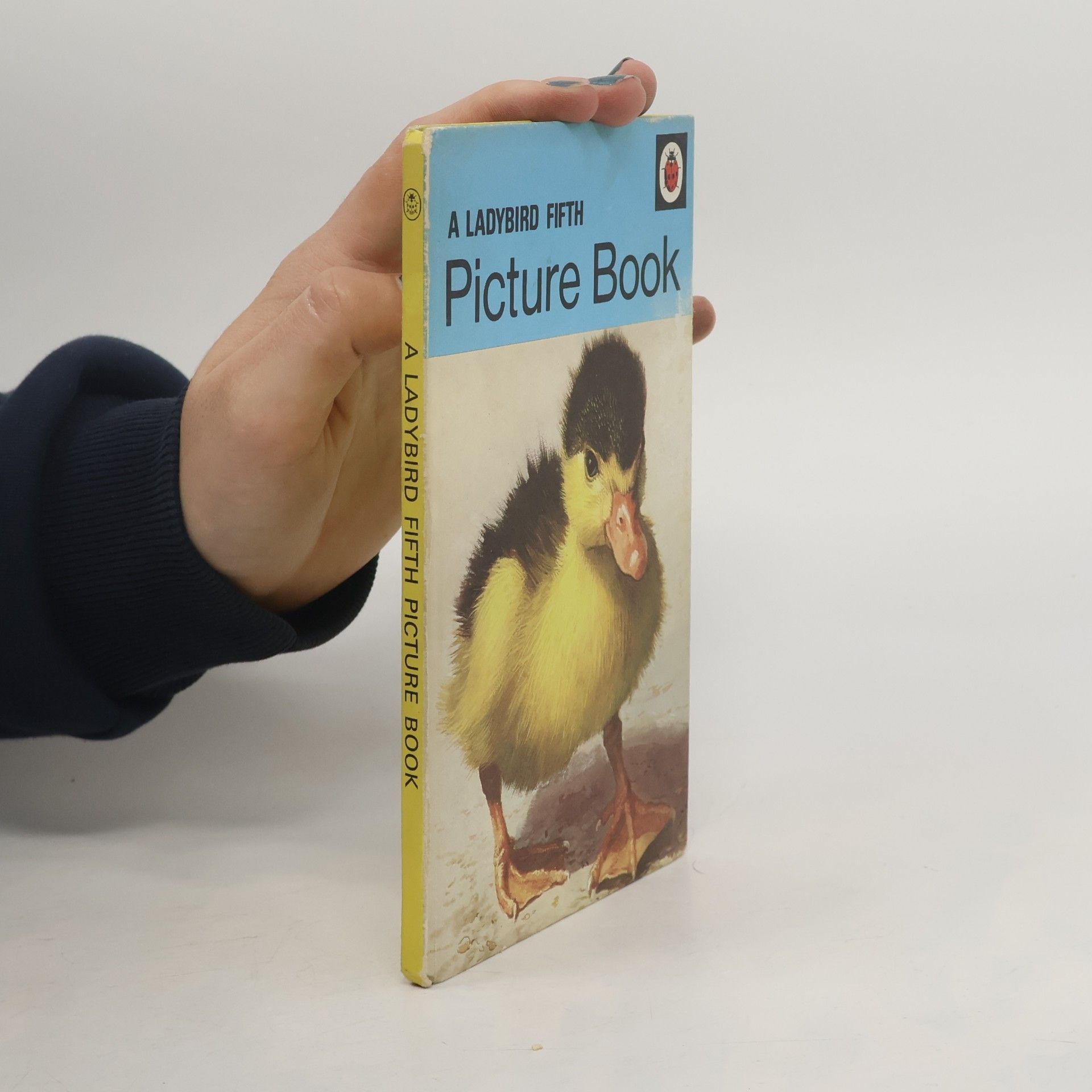 harry Wingfield Ladybird - 5: Picture Book