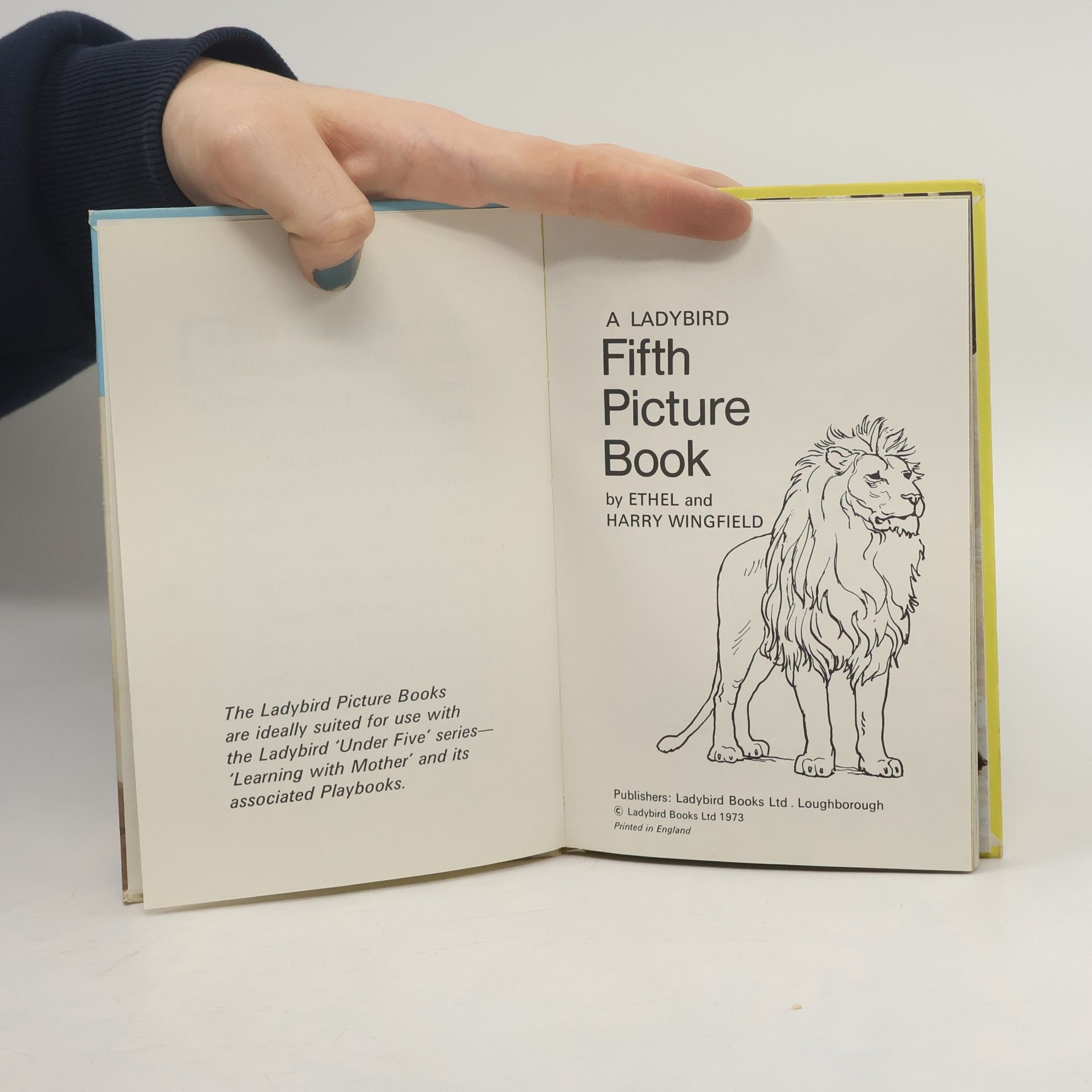harry Wingfield Ladybird - 5: Picture Book