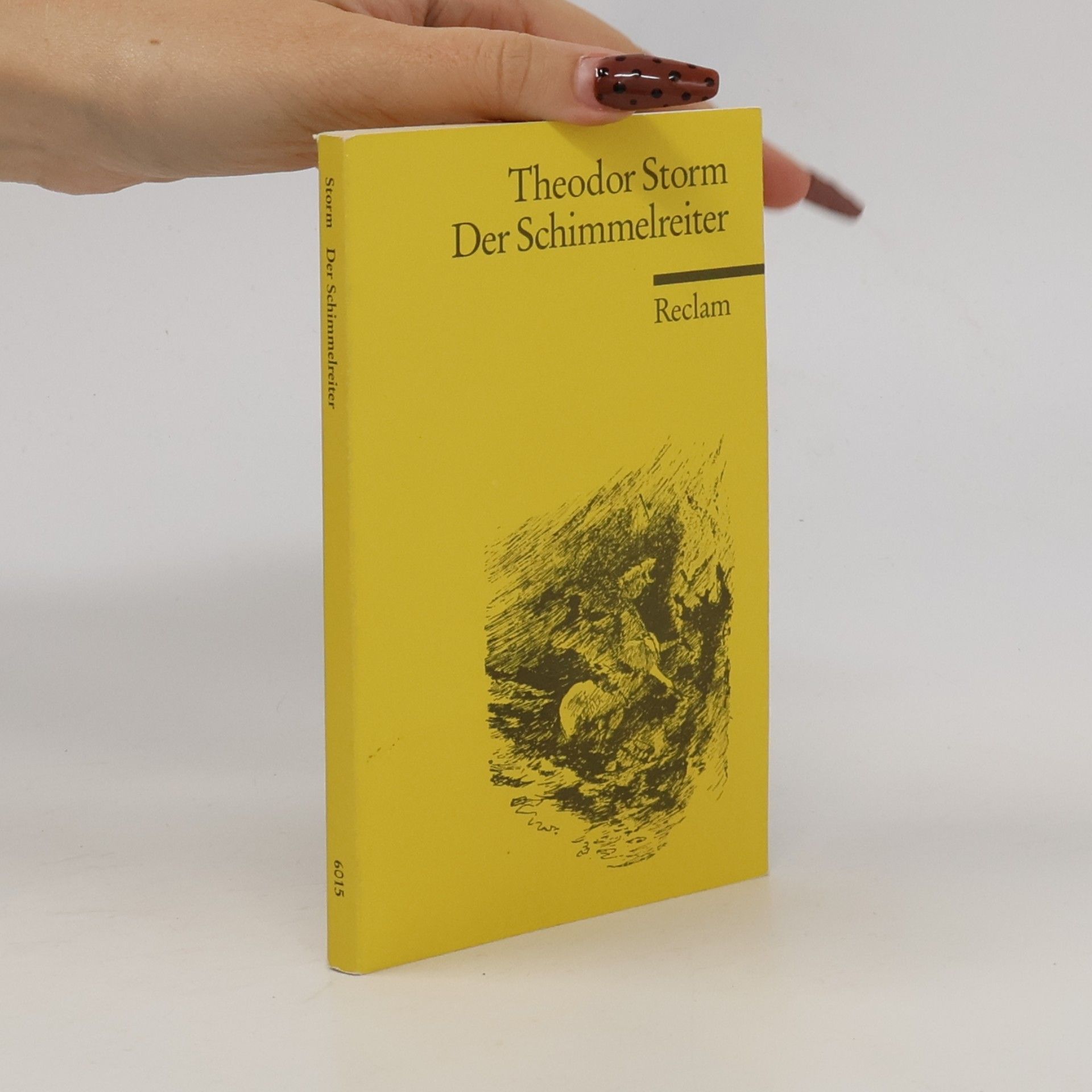 Der Schimmelreiter