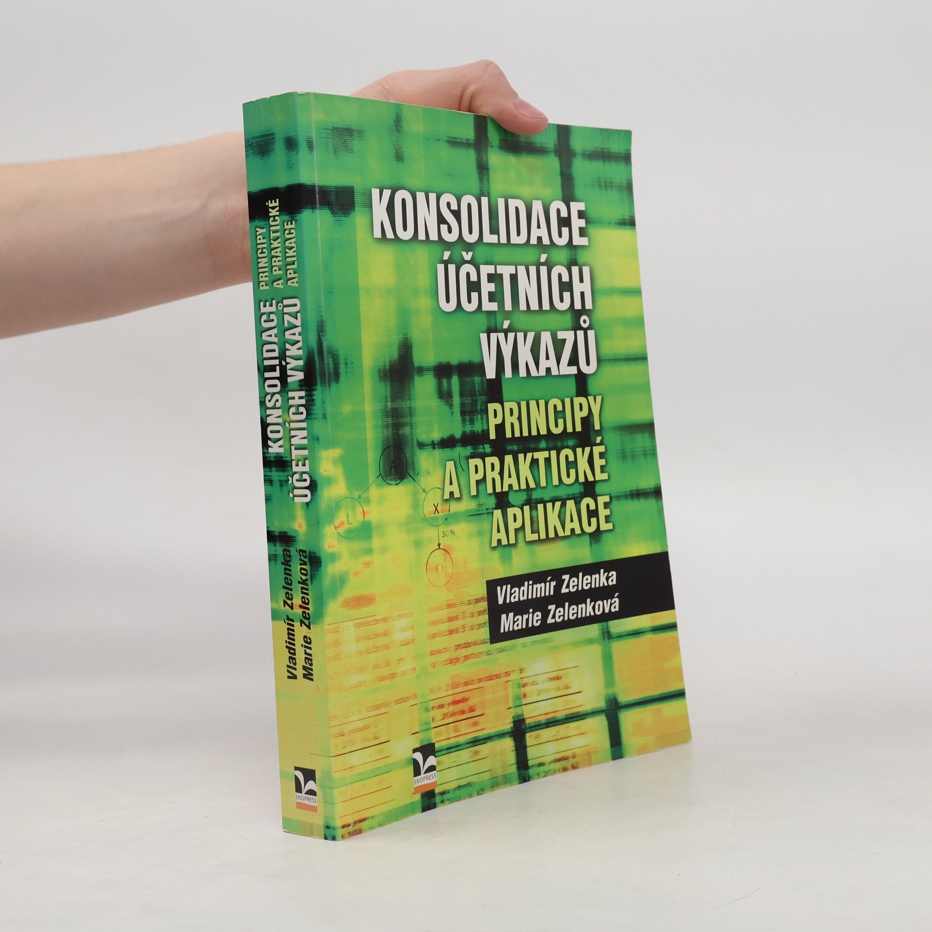 Konsolidace účetních výkazů : principy a praktické aplikace
