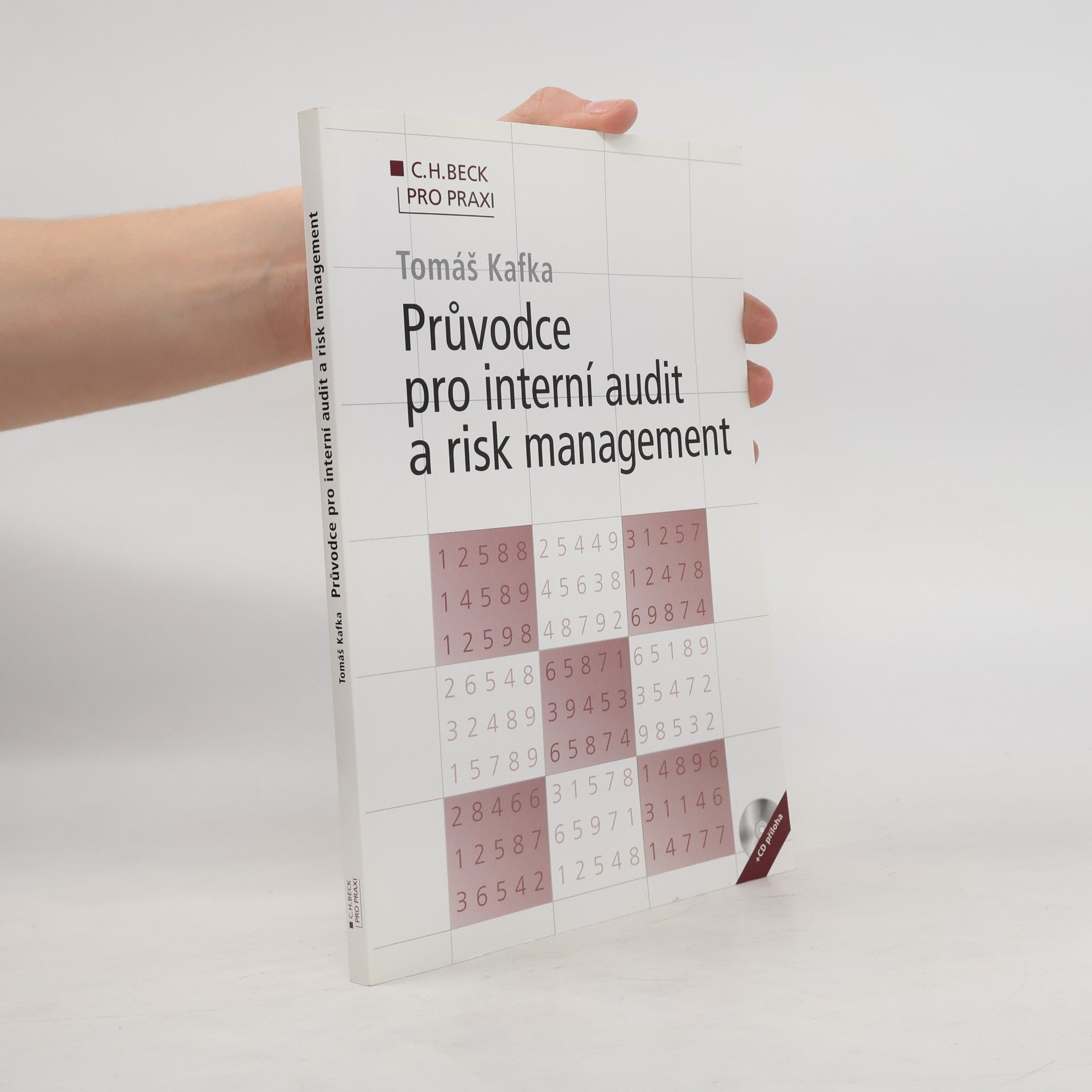 Průvodce pro interní audit a risk management
