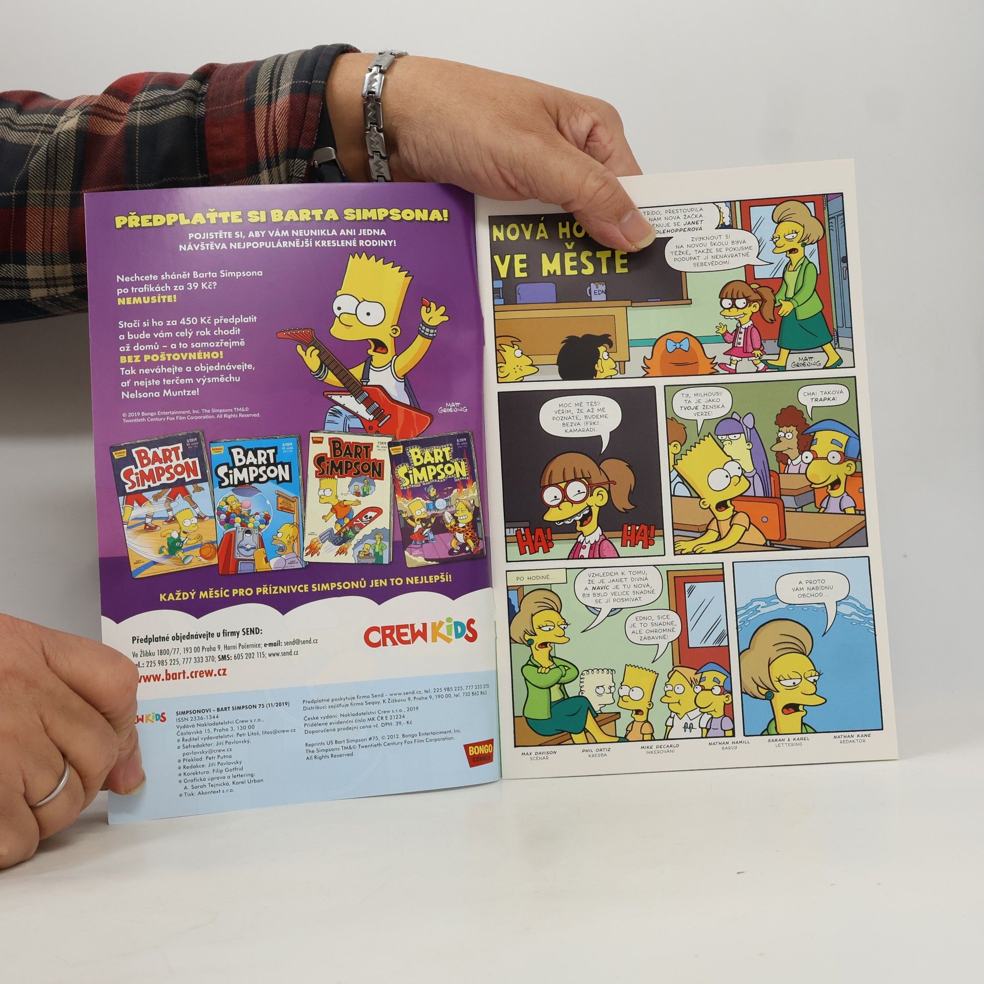 Tony DiGerolamo Bart Simpson 11/2019