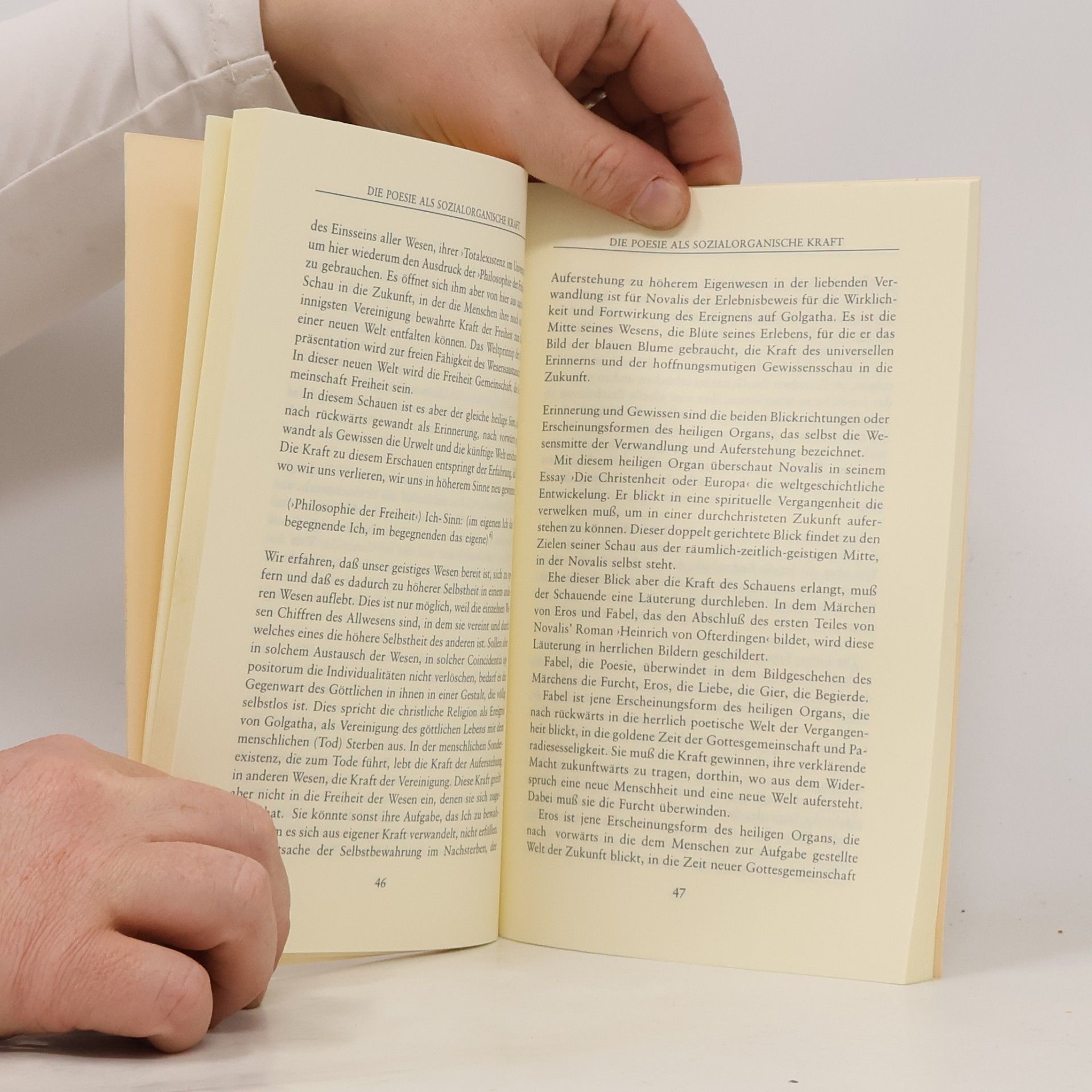 Herbert Witzenmann Die Poesie als sozialorganische Kraft bei Novalis
